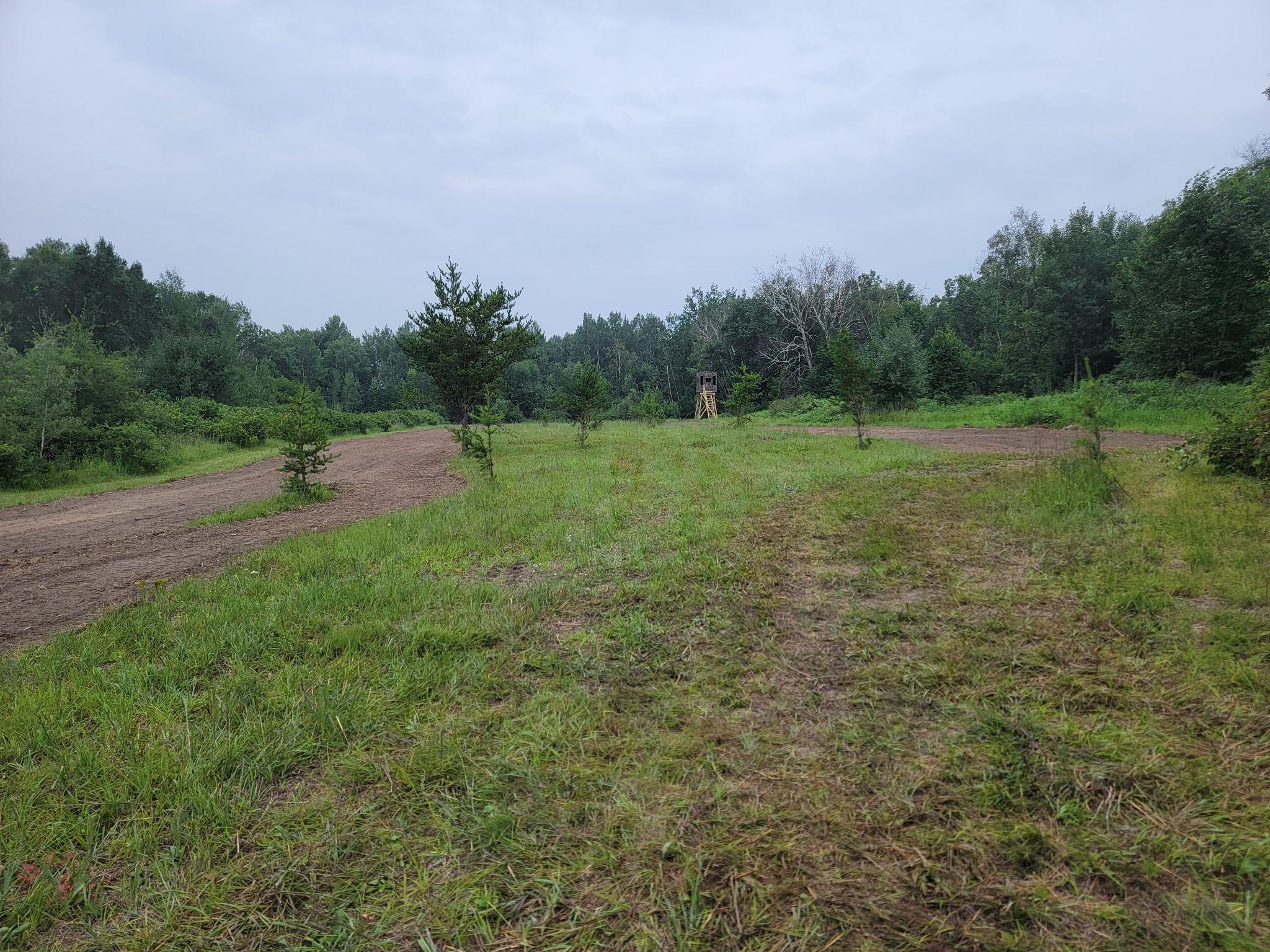 land for sale at 25820 County Road 26 in Sebeka, MN (photo 69 of 105)
