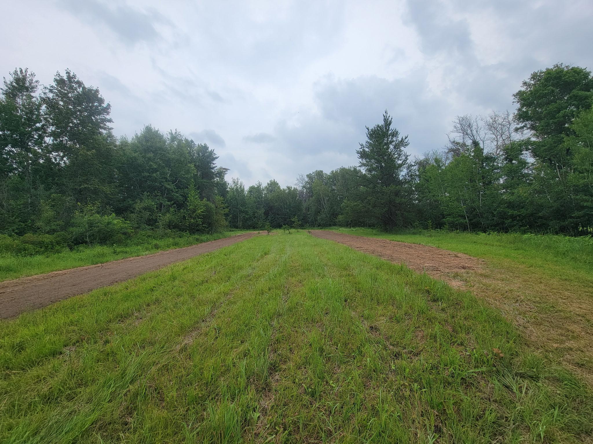 land for sale at 25820 County Road 26 in Sebeka, MN (photo 70 of 105)