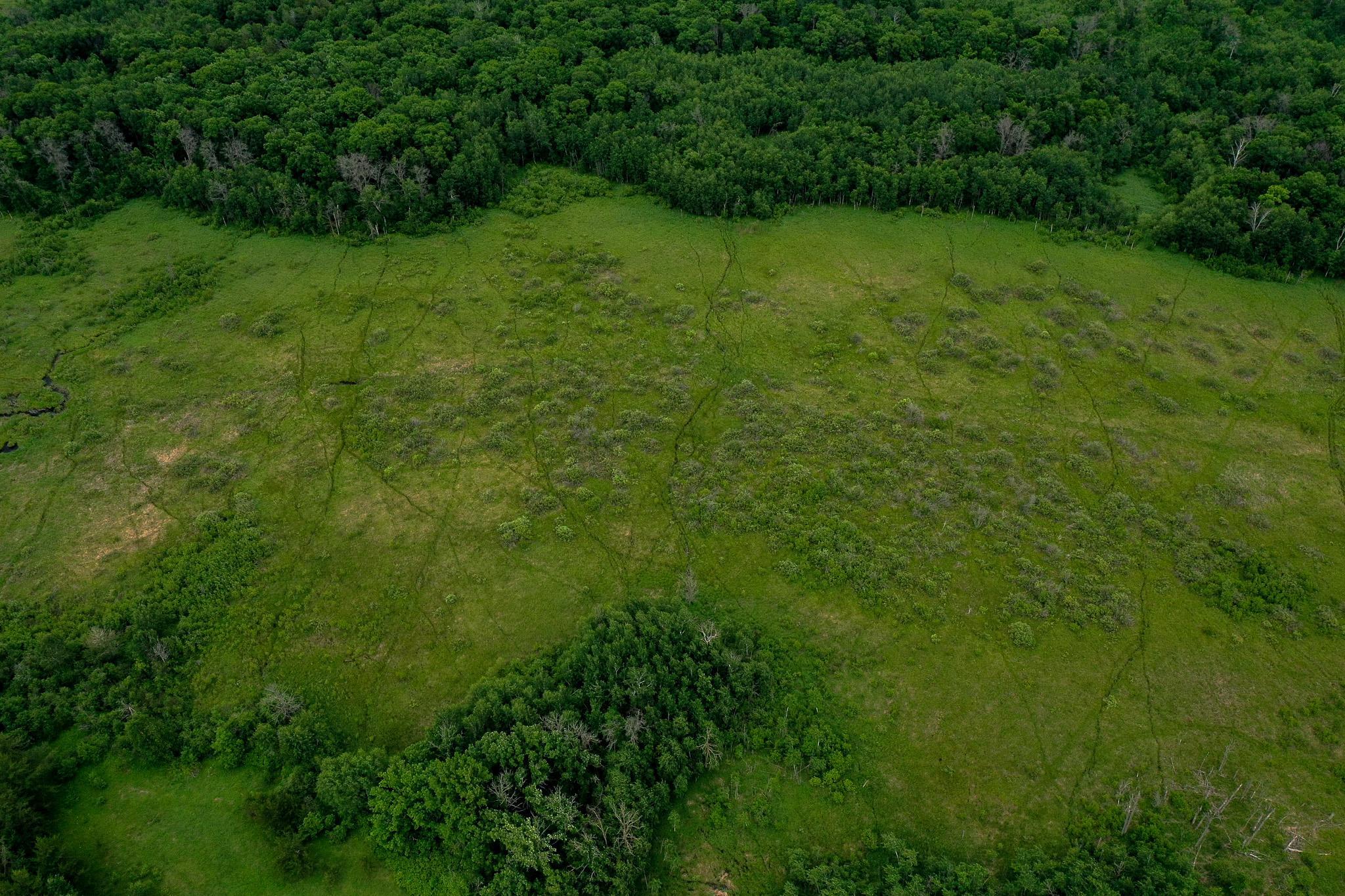 land for sale at 25820 County Road 26 in Sebeka, MN (photo 8 of 105)