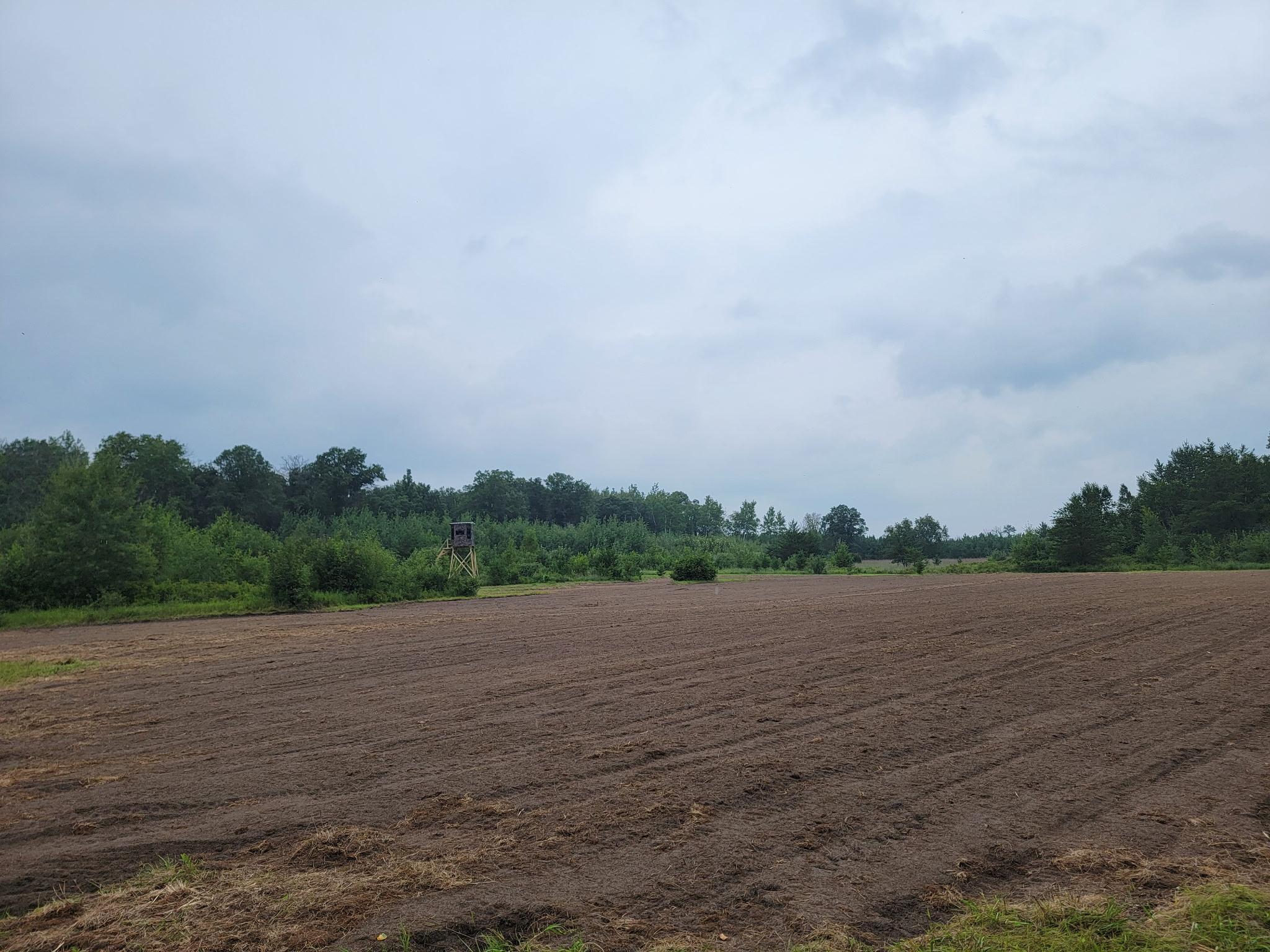 land for sale at 25820 County Road 26 in Sebeka, MN (photo 74 of 105)