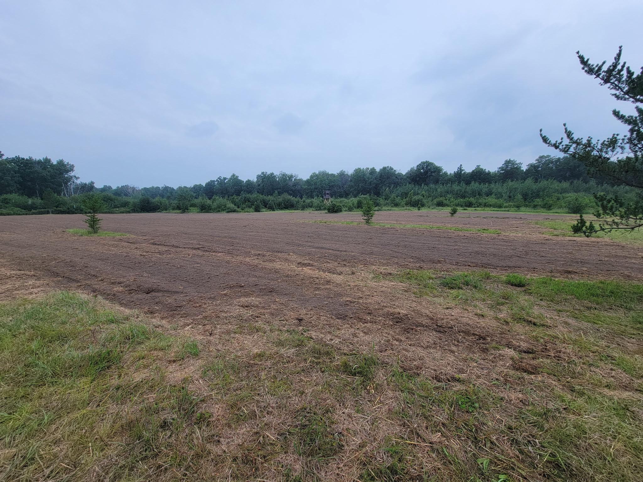 land for sale at 25820 County Road 26 in Sebeka, MN (photo 75 of 105)