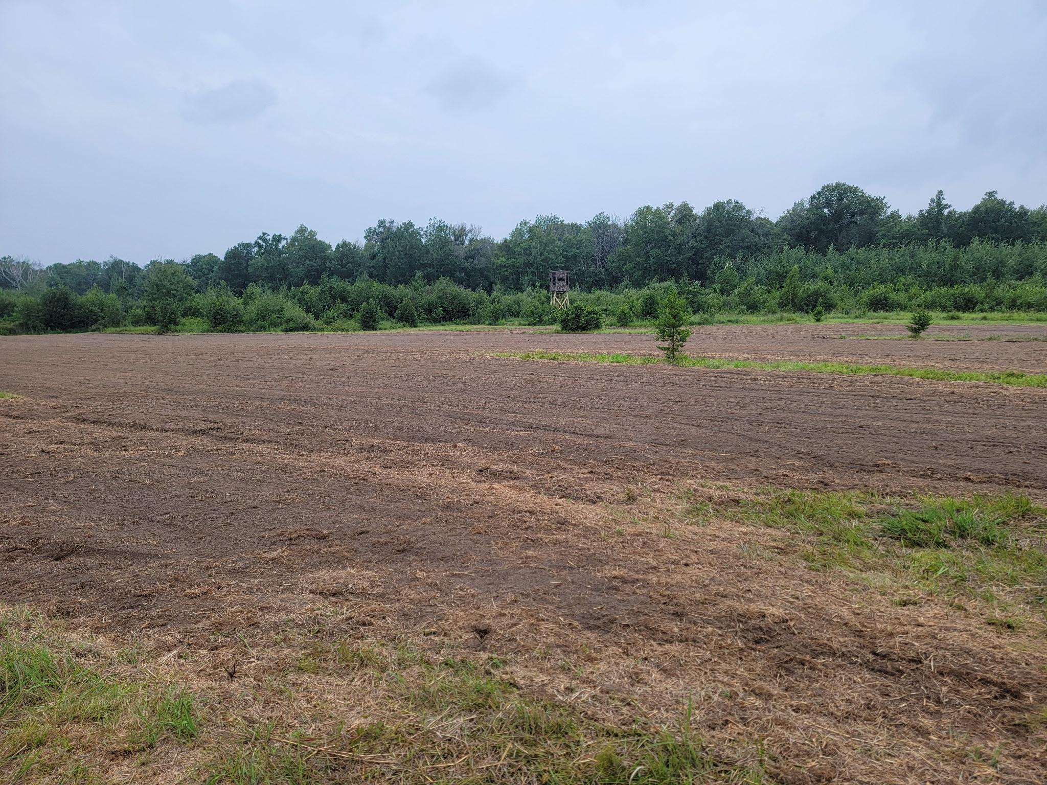 land for sale at 25820 County Road 26 in Sebeka, MN (photo 76 of 105)