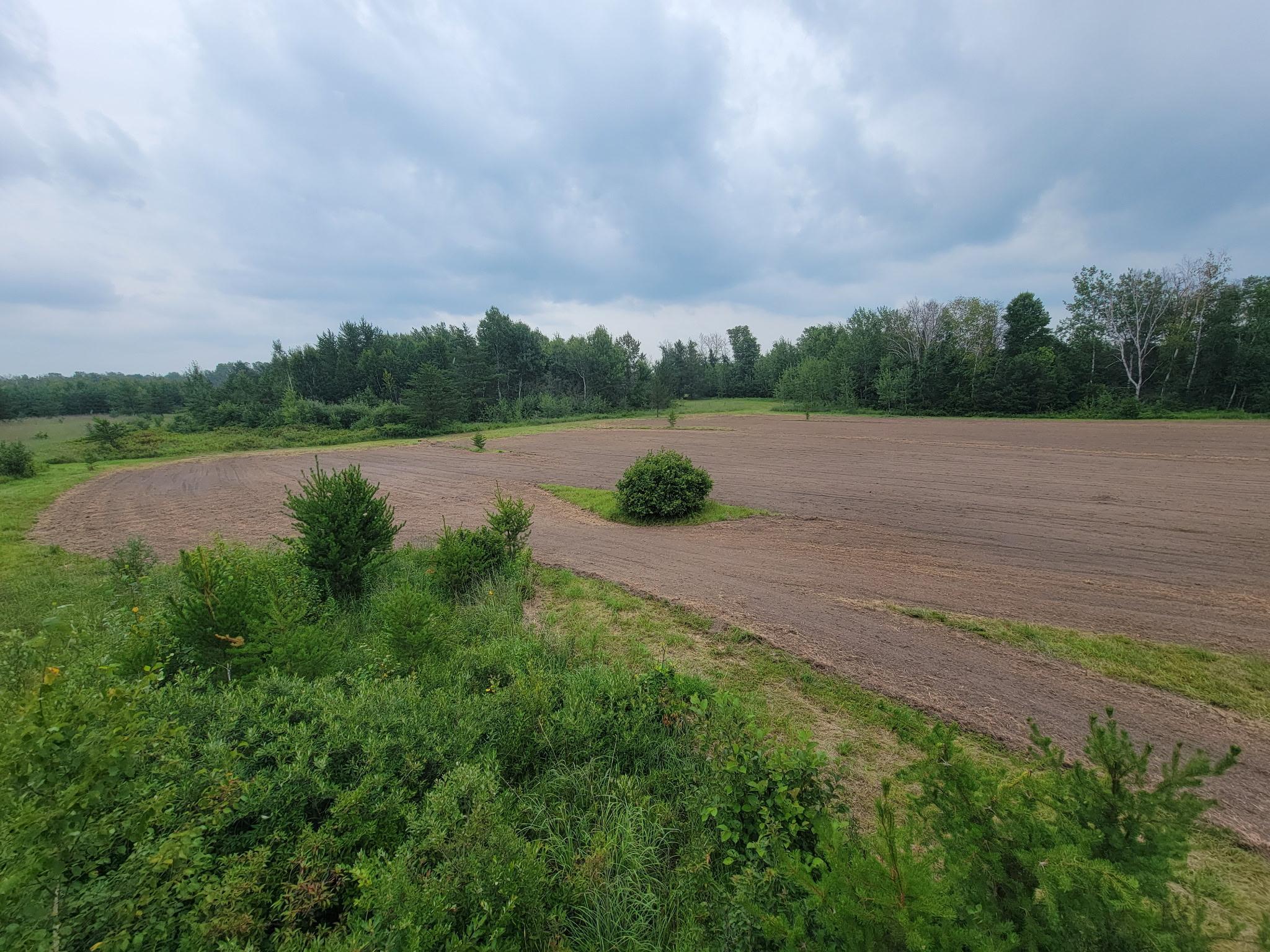 land for sale at 25820 County Road 26 in Sebeka, MN (photo 77 of 105)