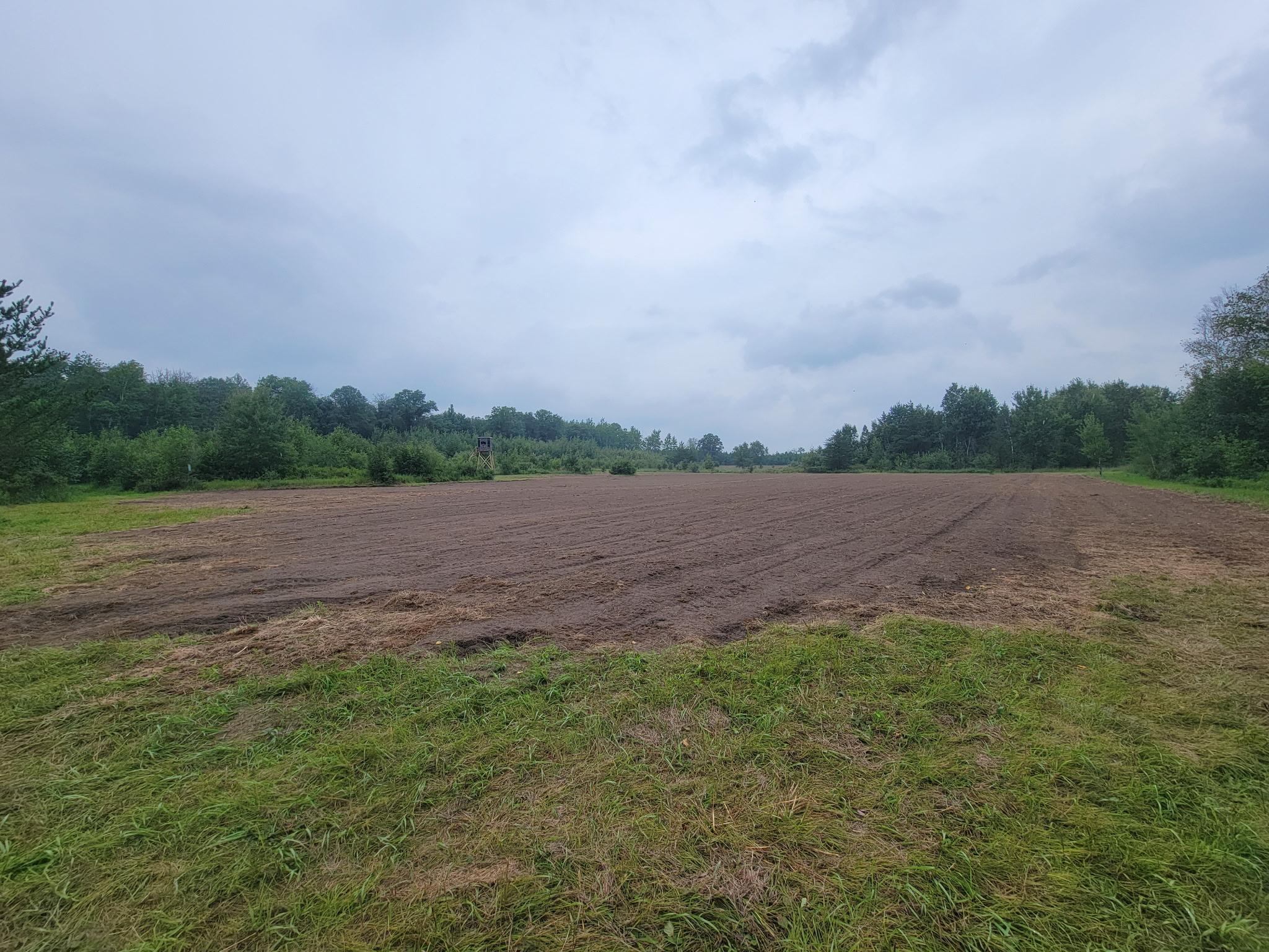 land for sale at 25820 County Road 26 in Sebeka, MN (photo 78 of 105)