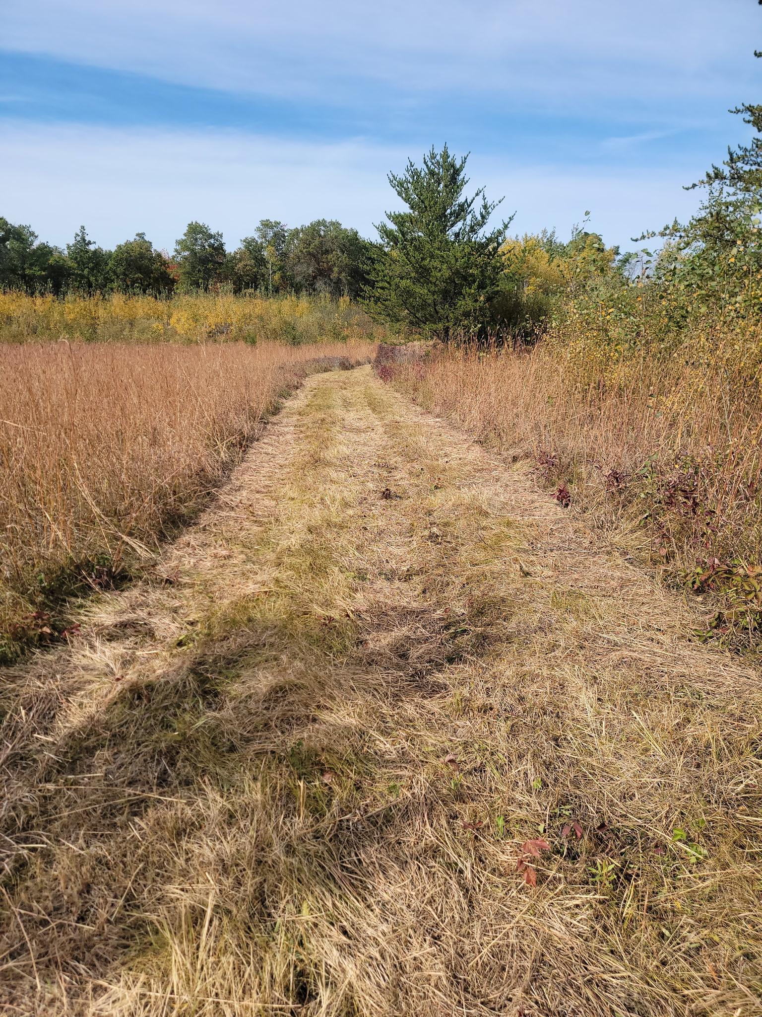 land for sale at 25820 County Road 26 in Sebeka, MN (photo 79 of 105)