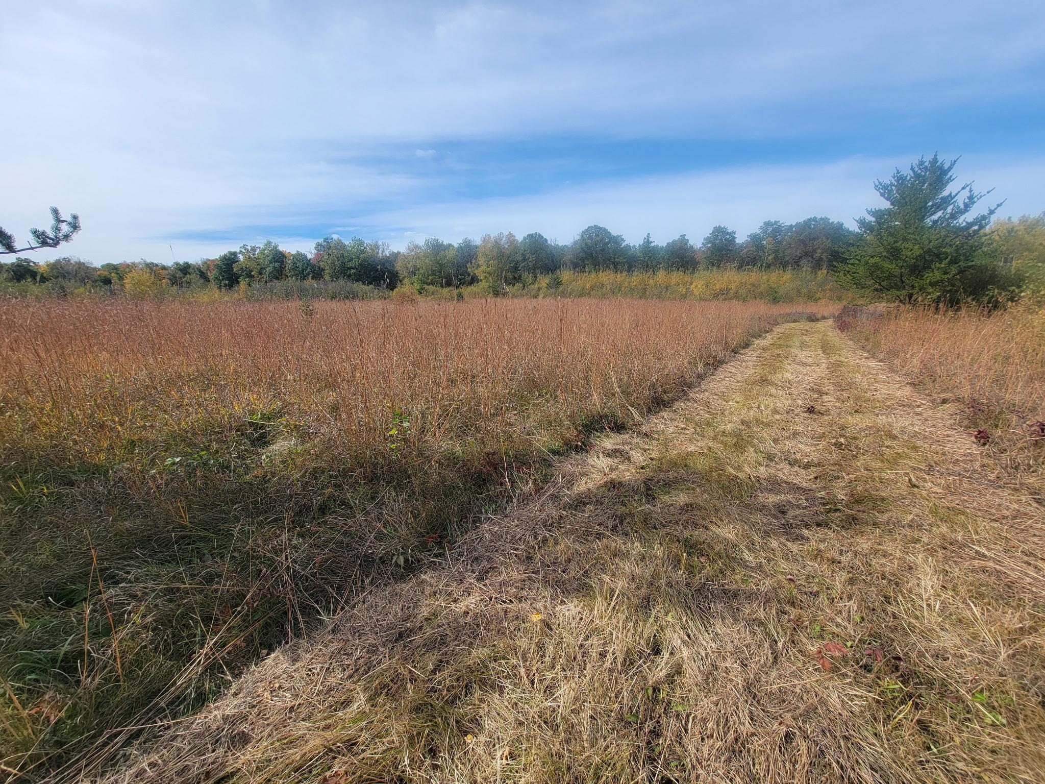 land for sale at 25820 County Road 26 in Sebeka, MN (photo 80 of 105)