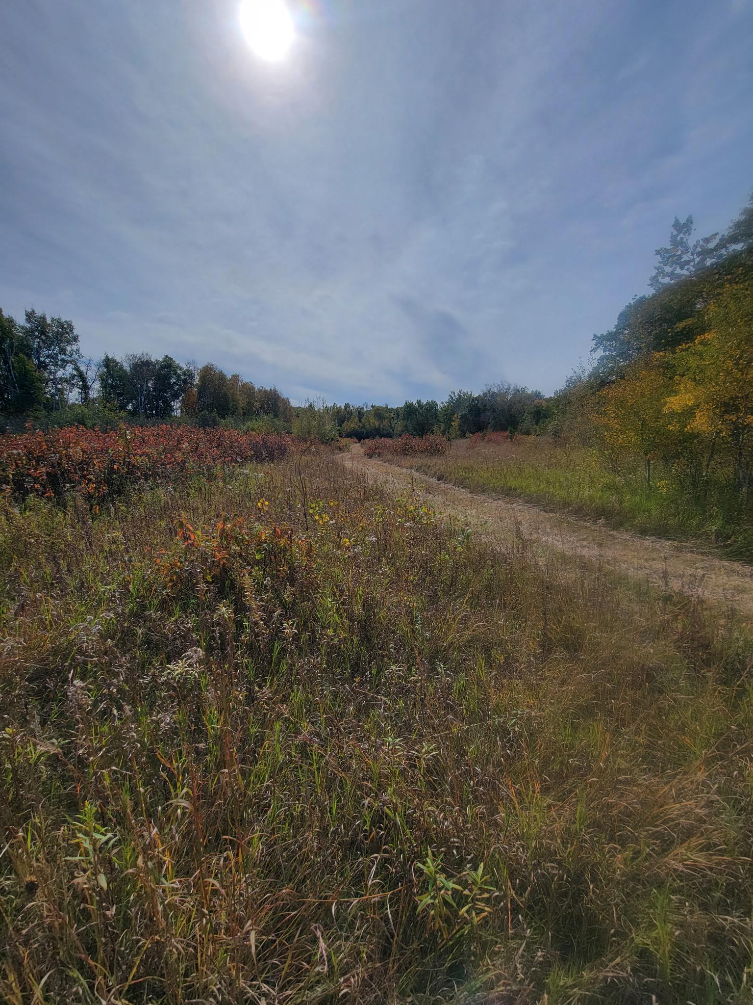 land for sale at 25820 County Road 26 in Sebeka, MN (photo 82 of 105)