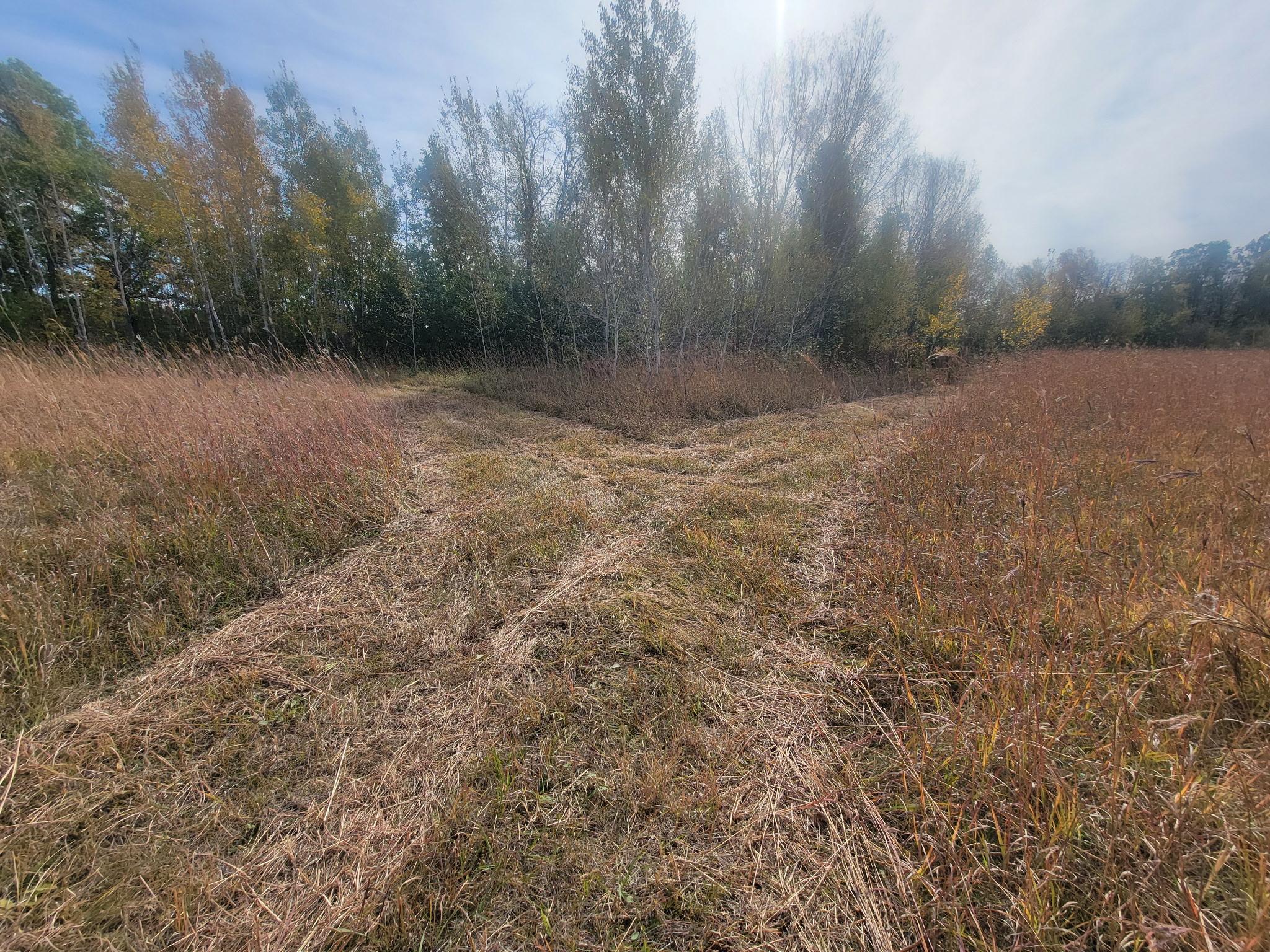 land for sale at 25820 County Road 26 in Sebeka, MN (photo 83 of 105)