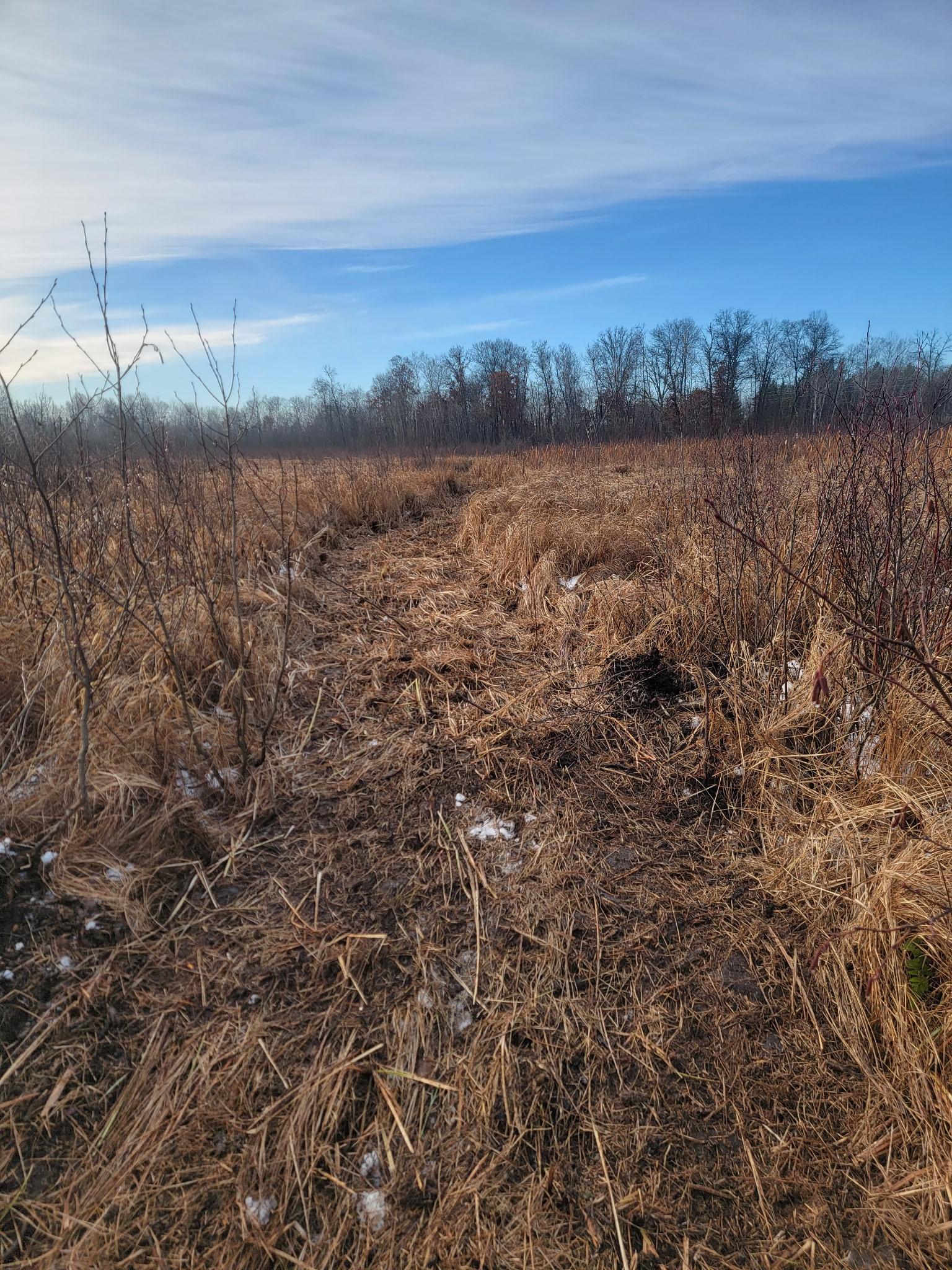 land for sale at 25820 County Road 26 in Sebeka, MN (photo 84 of 105)