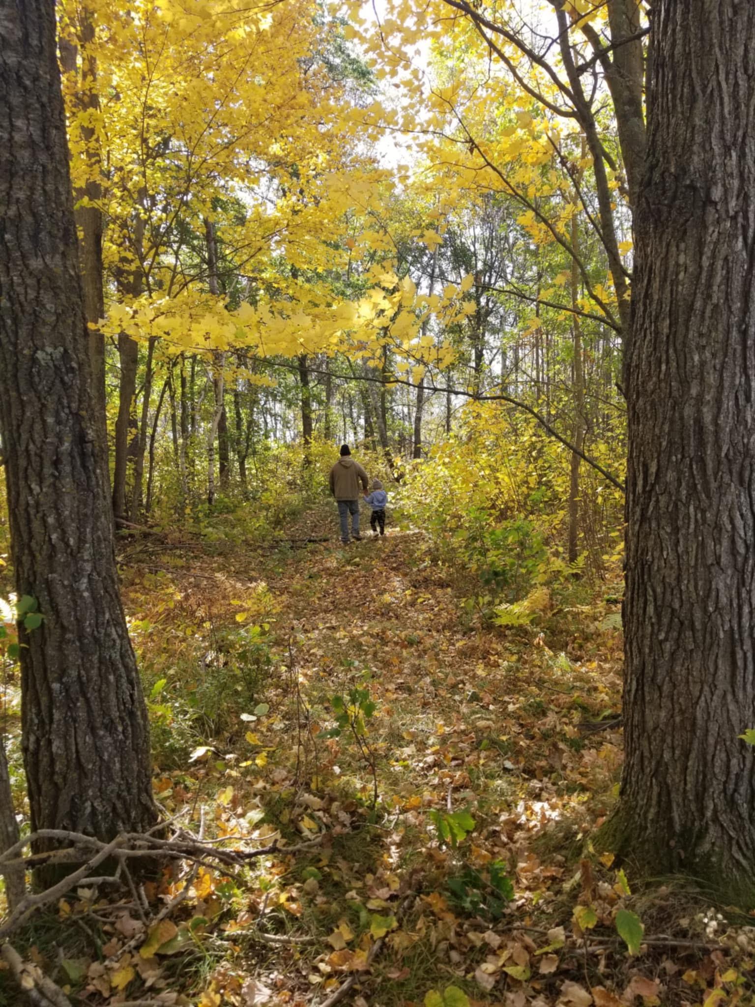 land for sale at 25820 County Road 26 in Sebeka, MN (photo 86 of 105)