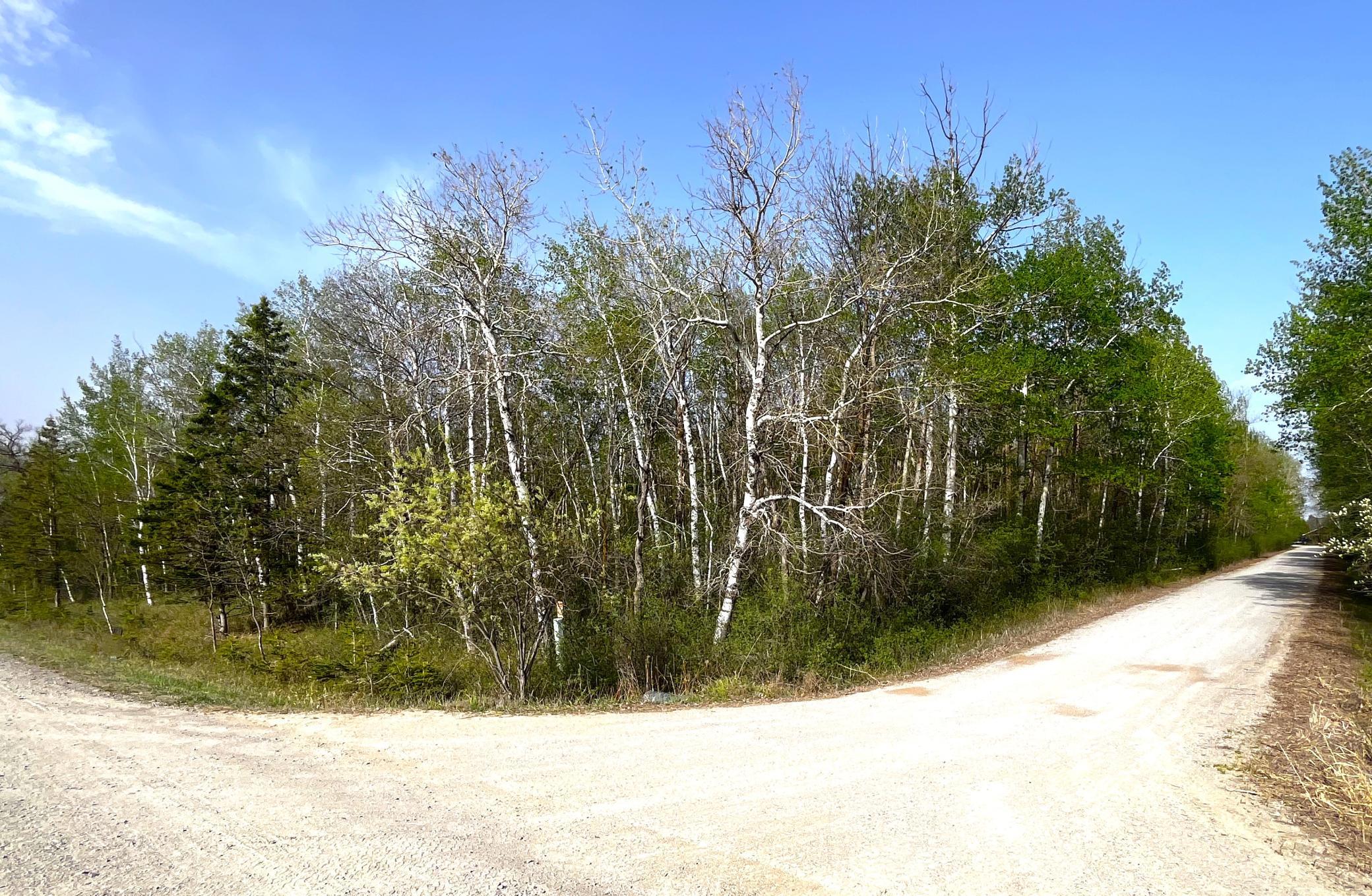 XXX 585th Avenue, Warroad MN 56763 - Photo 11 of 11