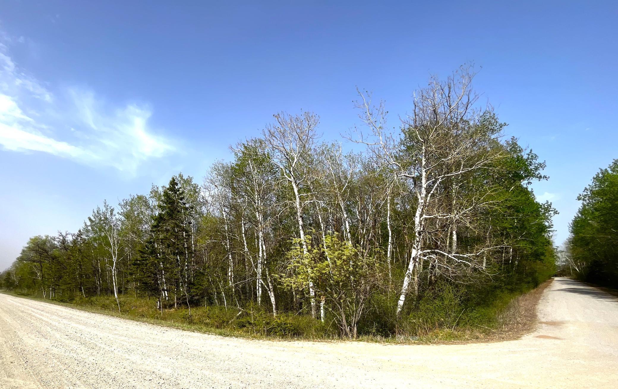 XXX 585th Avenue, Warroad MN 56763 - Photo 4 of 11