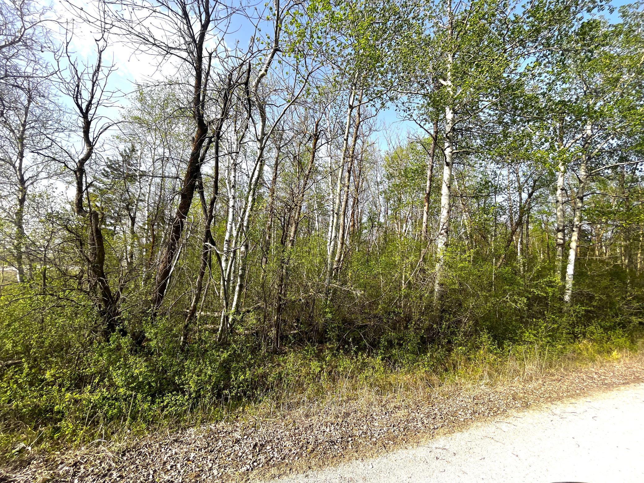 XXX 585th Avenue, Warroad MN 56763 - Photo 5 of 11