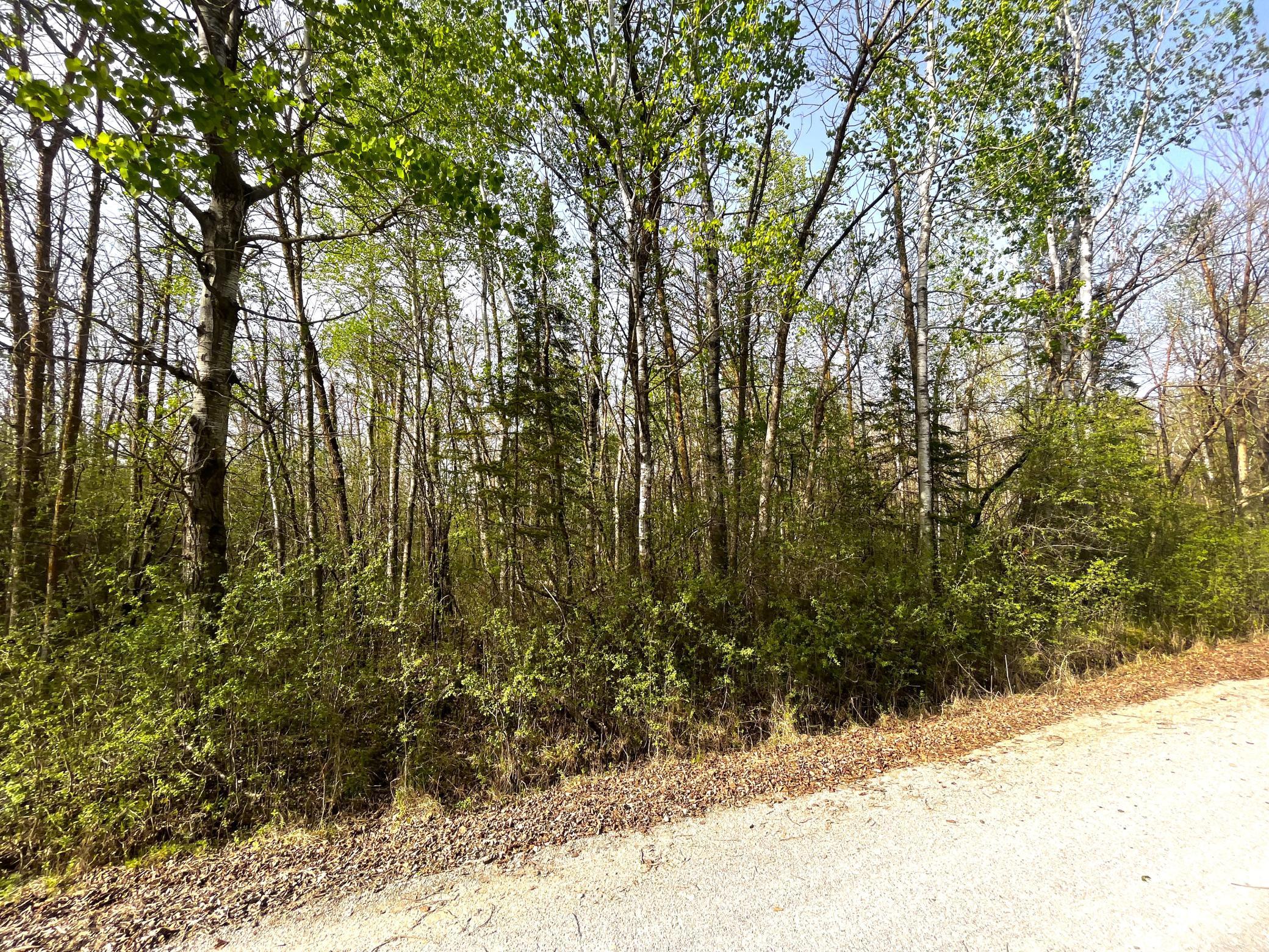XXX 585th Avenue, Warroad MN 56763 - Photo 7 of 11