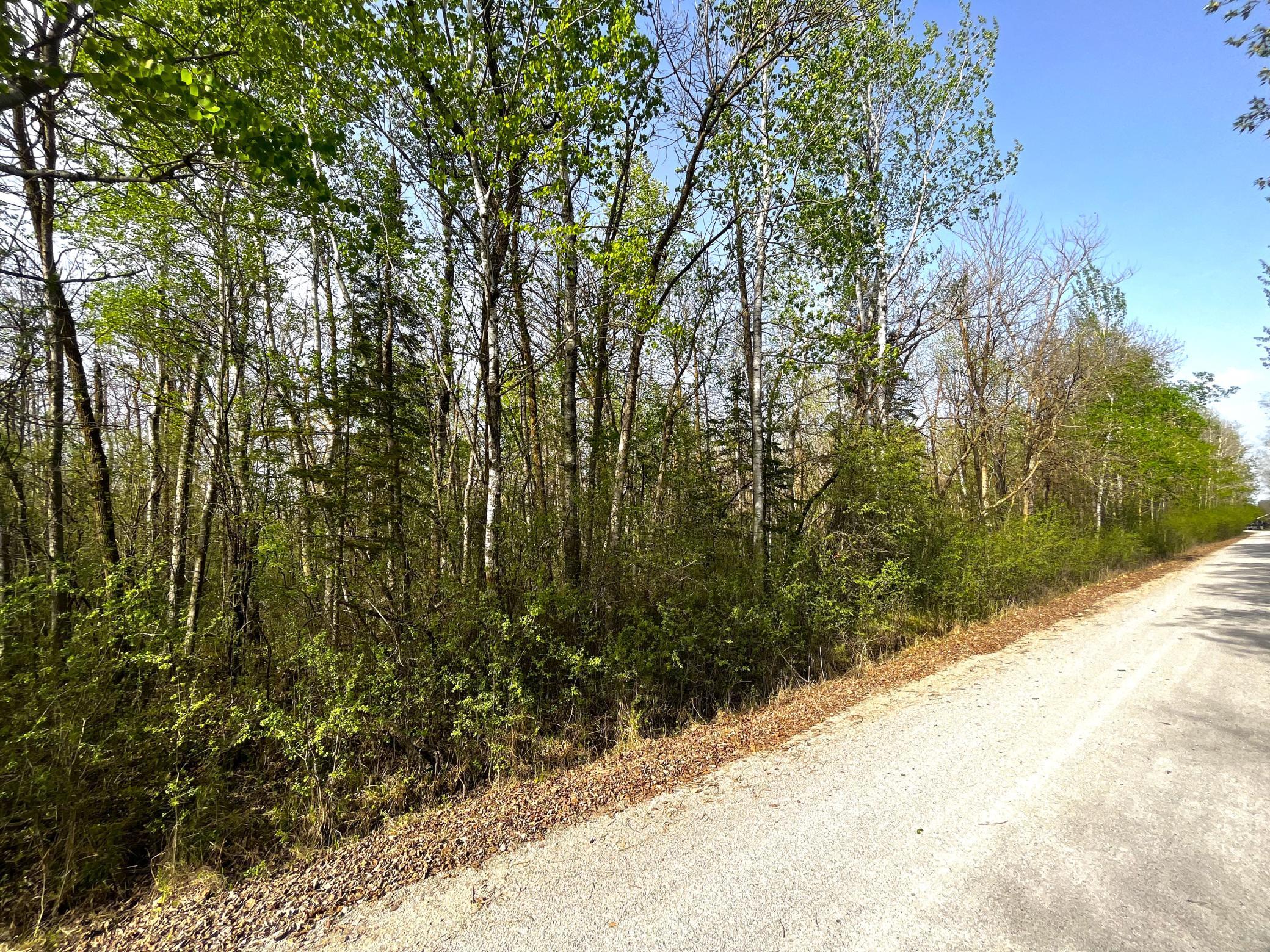 XXX 585th Avenue, Warroad MN 56763 - Photo 8 of 11