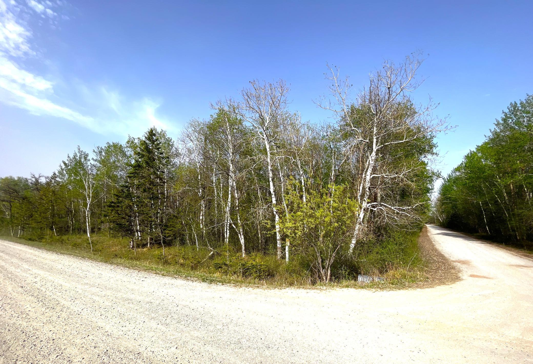 XXX 585th Avenue, Warroad MN 56763 - Photo 10 of 11