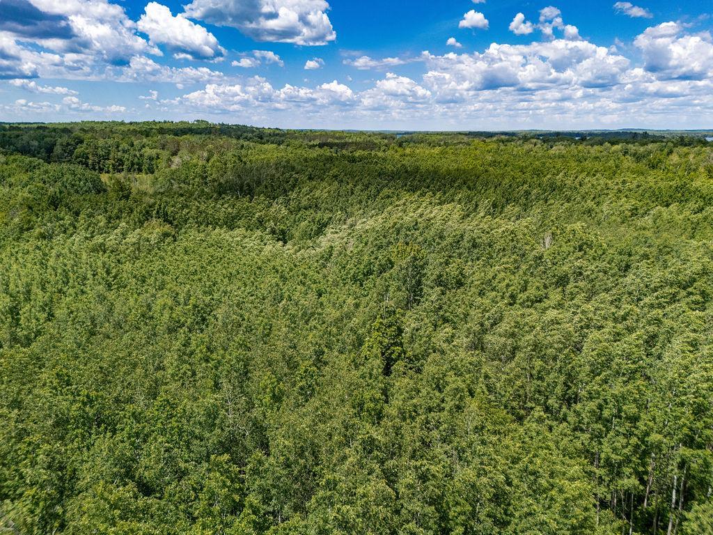 TBD Freestone Road, Grand Rapids MN 55744 - Photo 15 of 17