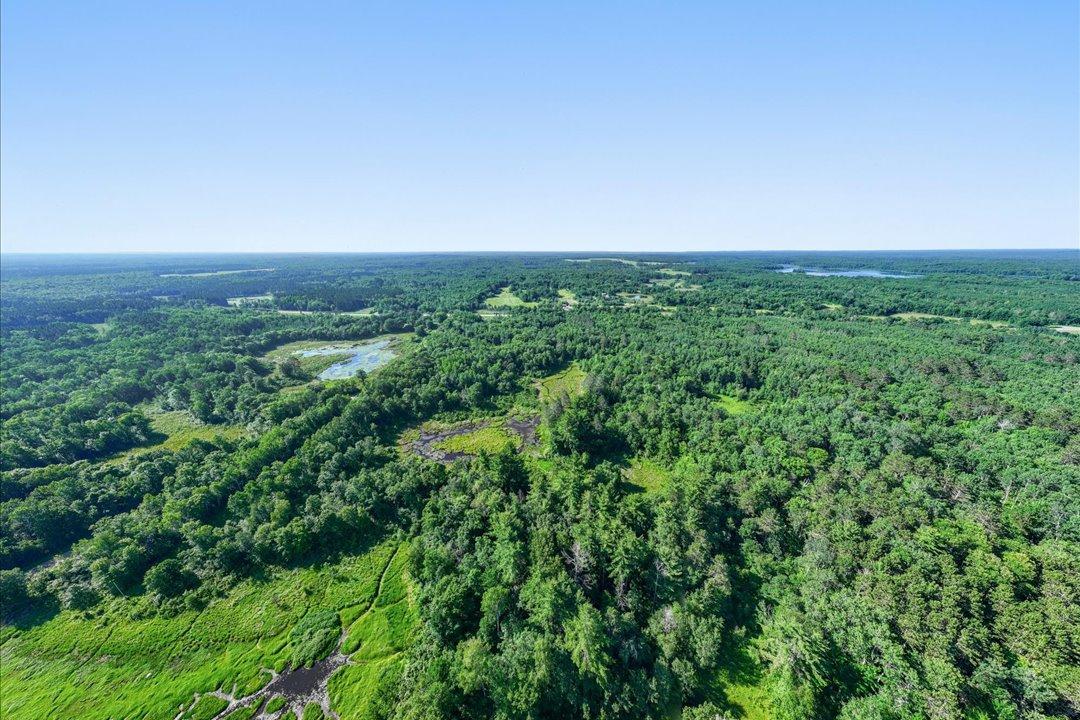 TBD County Road 39 NE, Longville MN 56655 - Photo 14 of 24