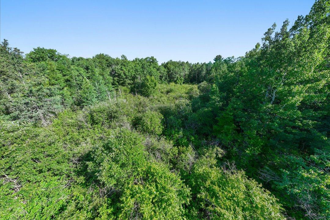 TBD County Road 39 NE, Longville MN 56655 - Photo 16 of 24