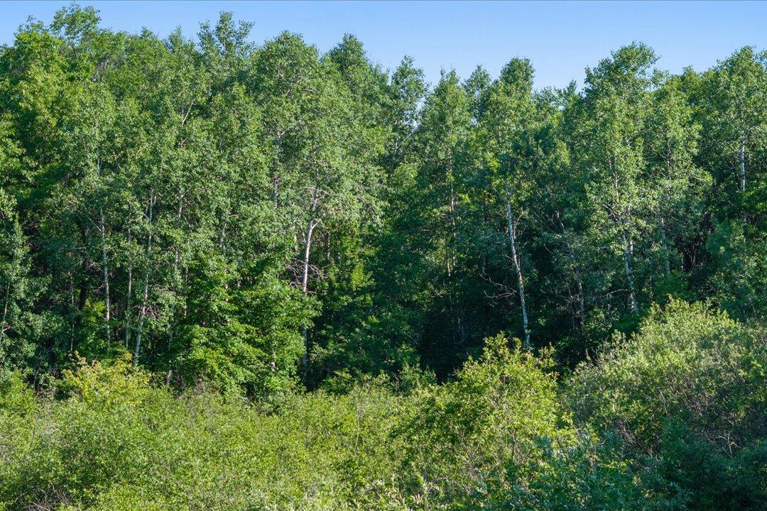 TBD County Road 39 NE, Longville MN 56655 - Photo 17 of 24