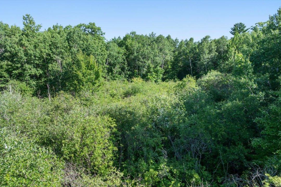 TBD County Road 39 NE, Longville MN 56655 - Photo 18 of 24