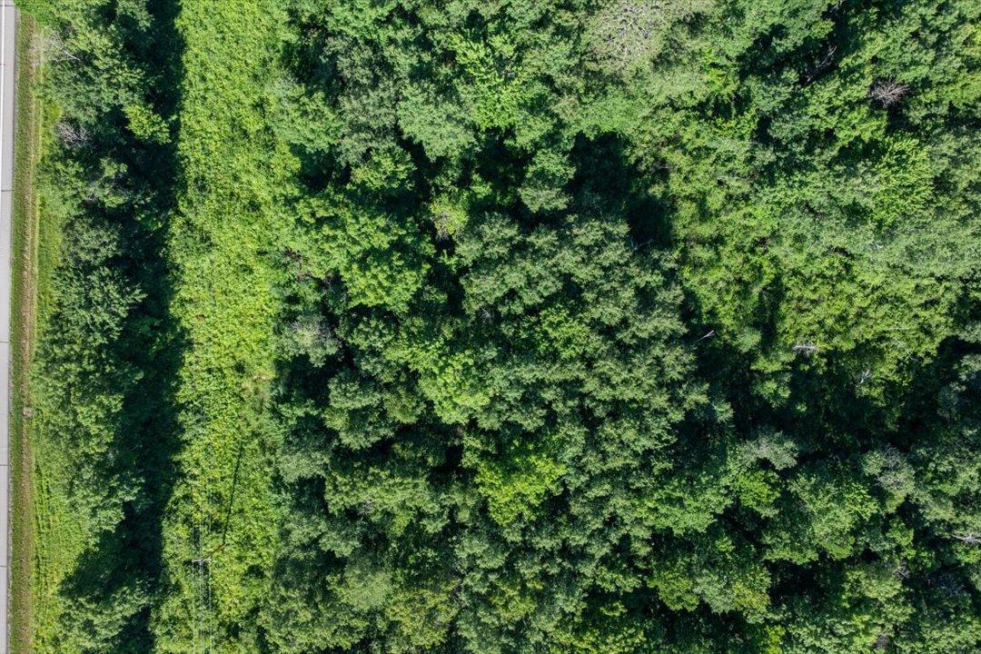 TBD County Road 39 NE, Longville MN 56655 - Photo 19 of 24