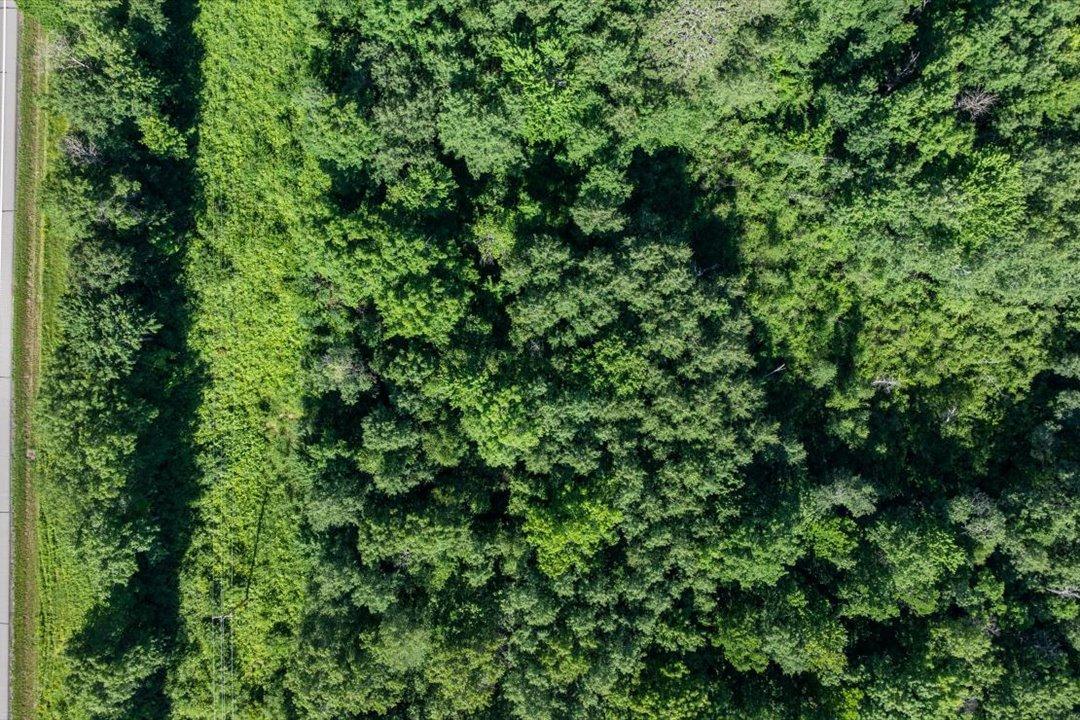 TBD County Road 39 NE, Longville MN 56655 - Photo 20 of 24