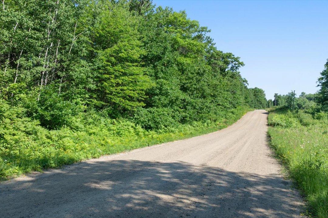 TBD County Road 39 NE, Longville MN 56655 - Photo 21 of 24