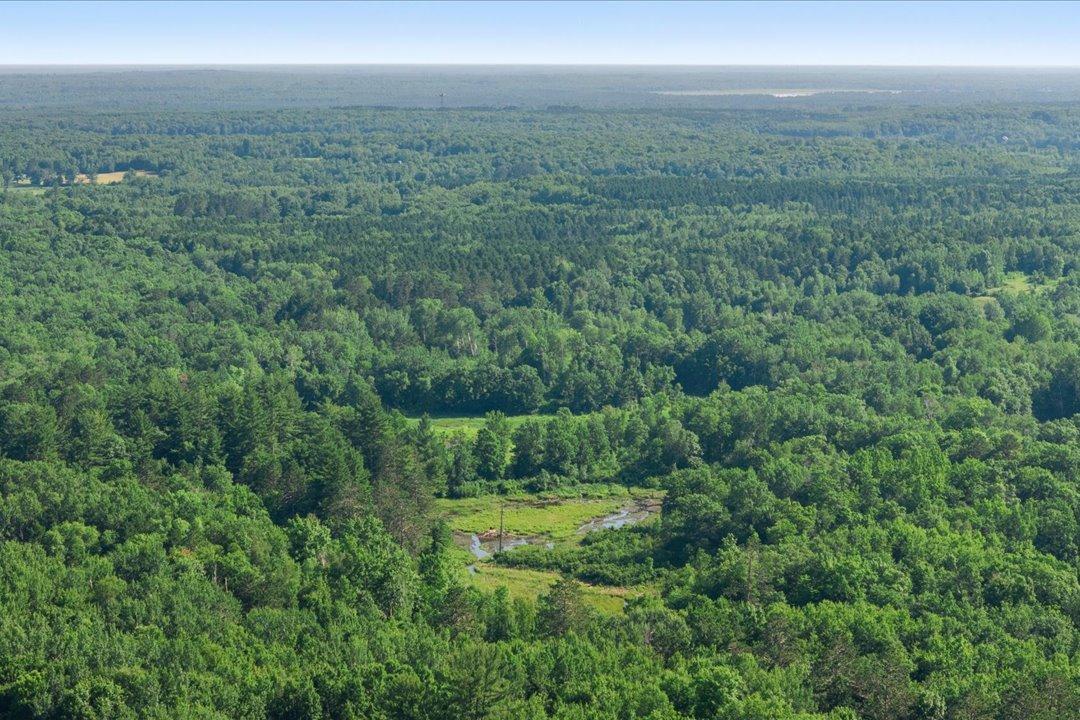 TBD County Road 39 NE, Longville MN 56655 - Photo 7 of 24