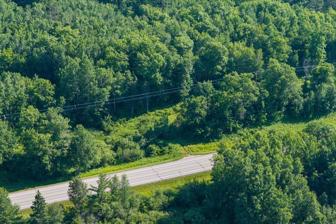 TBD County Road 39 NE, Longville MN 56655 - Photo 8 of 24