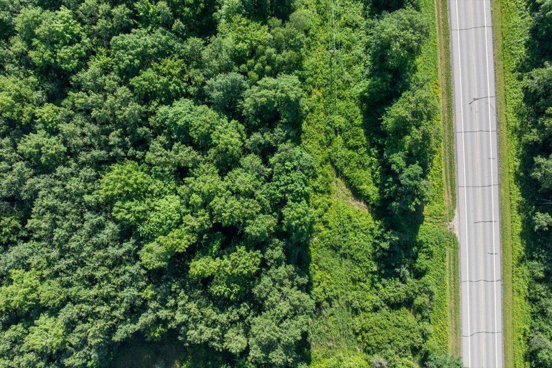 TBD County Road 39 NE, Longville MN 56655 - Photo 9 of 24