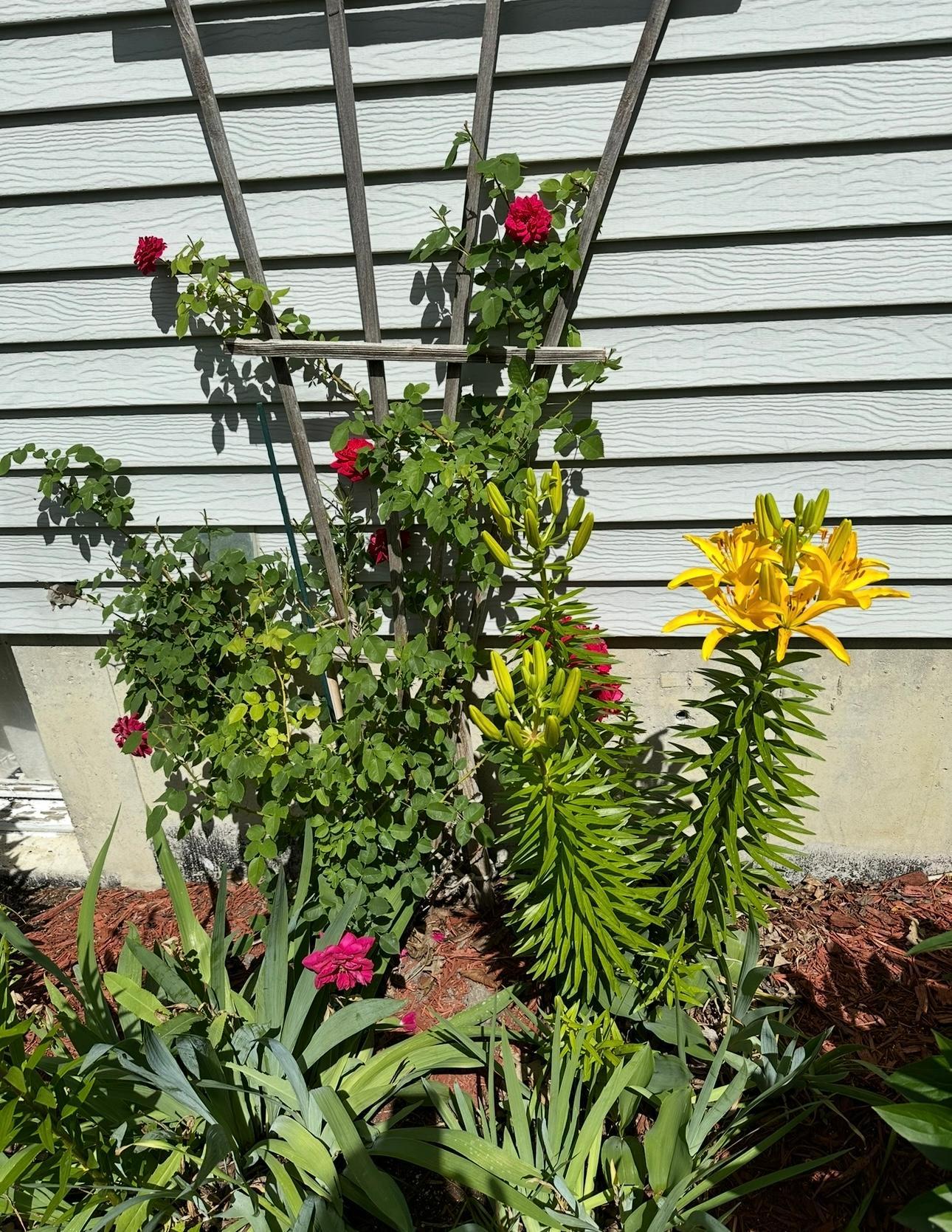 23716 Stony Bar Circle, Pelican Rapids MN 56572 - Photo 111 of 120
