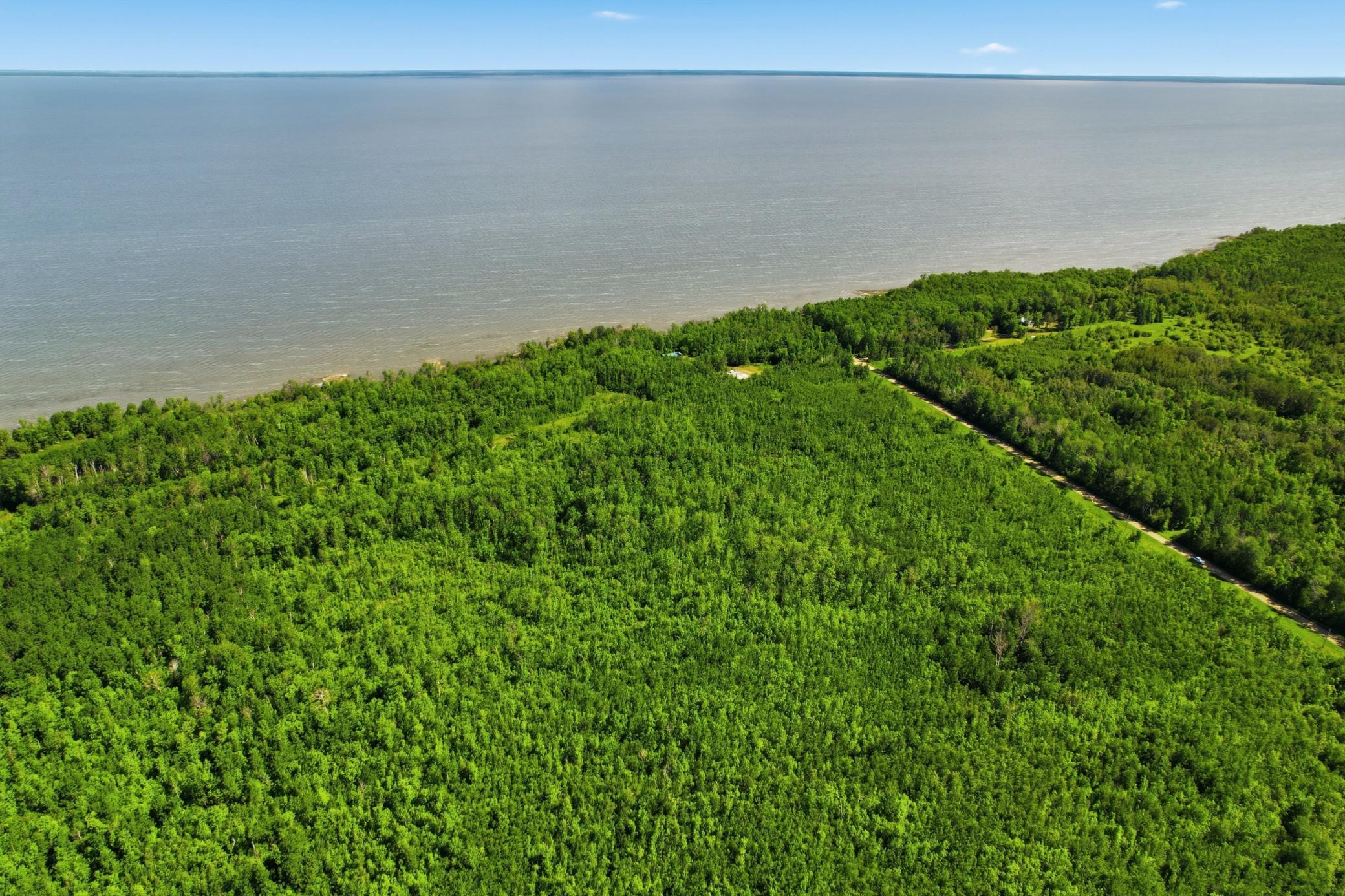 TBD Sandberg Road NE, Kelliher MN 56650 - Photo 4 of 13