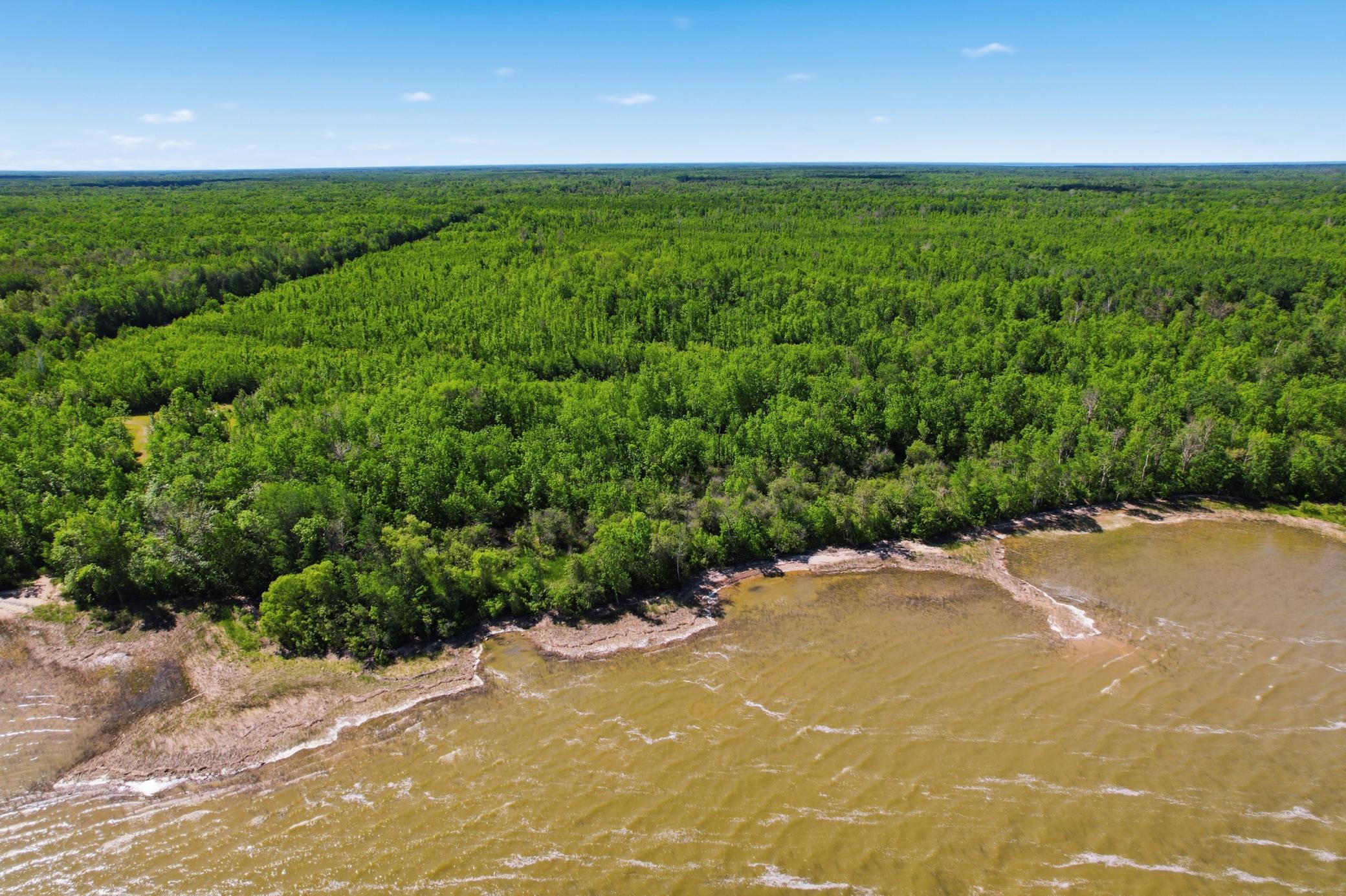 TBD Sandberg Road NE, Kelliher MN 56650 - Photo 8 of 13