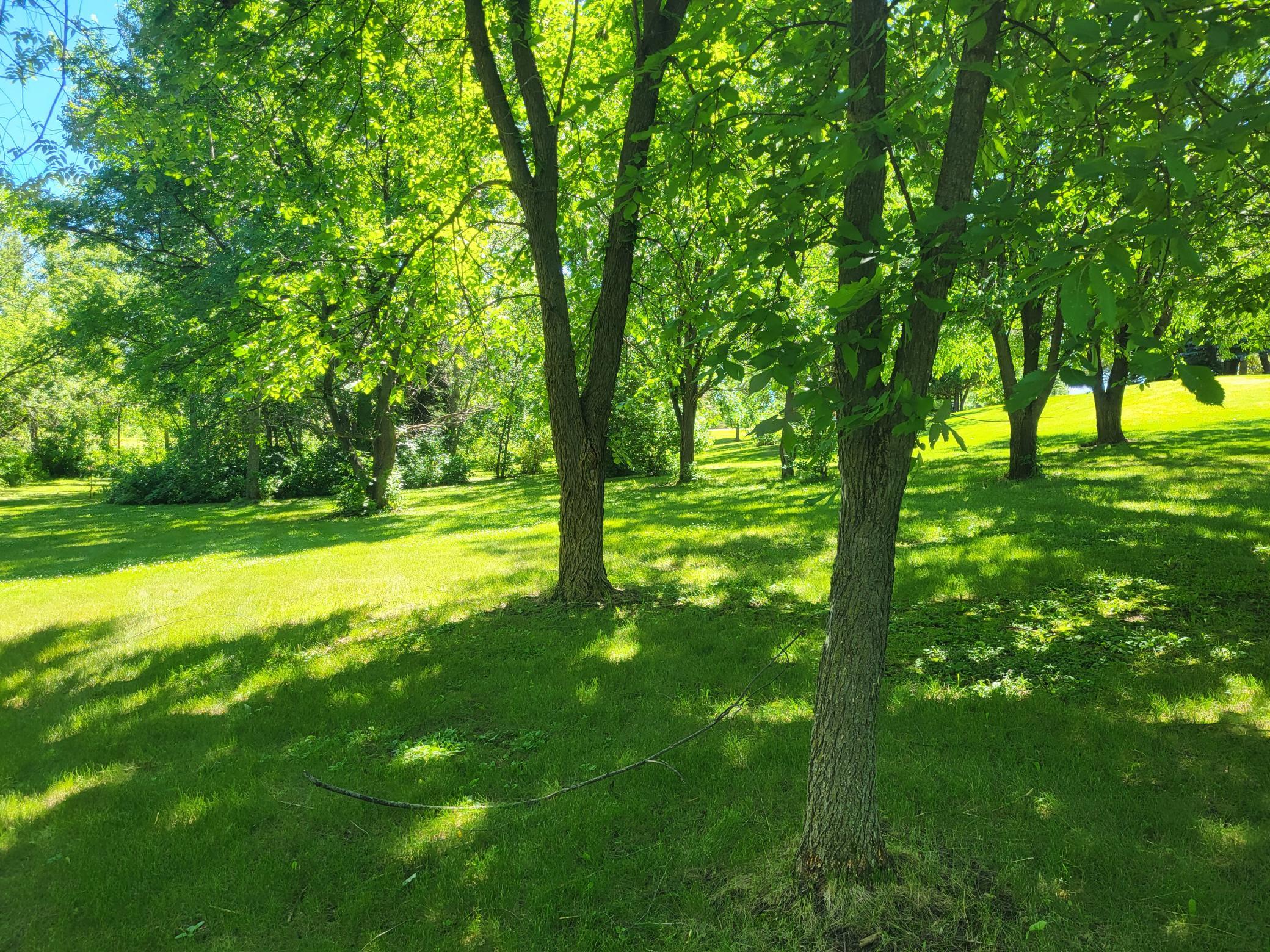 land for sale at Lot 5 Big Chip Trail NW in Garfield, MN (photo 2 of 19)