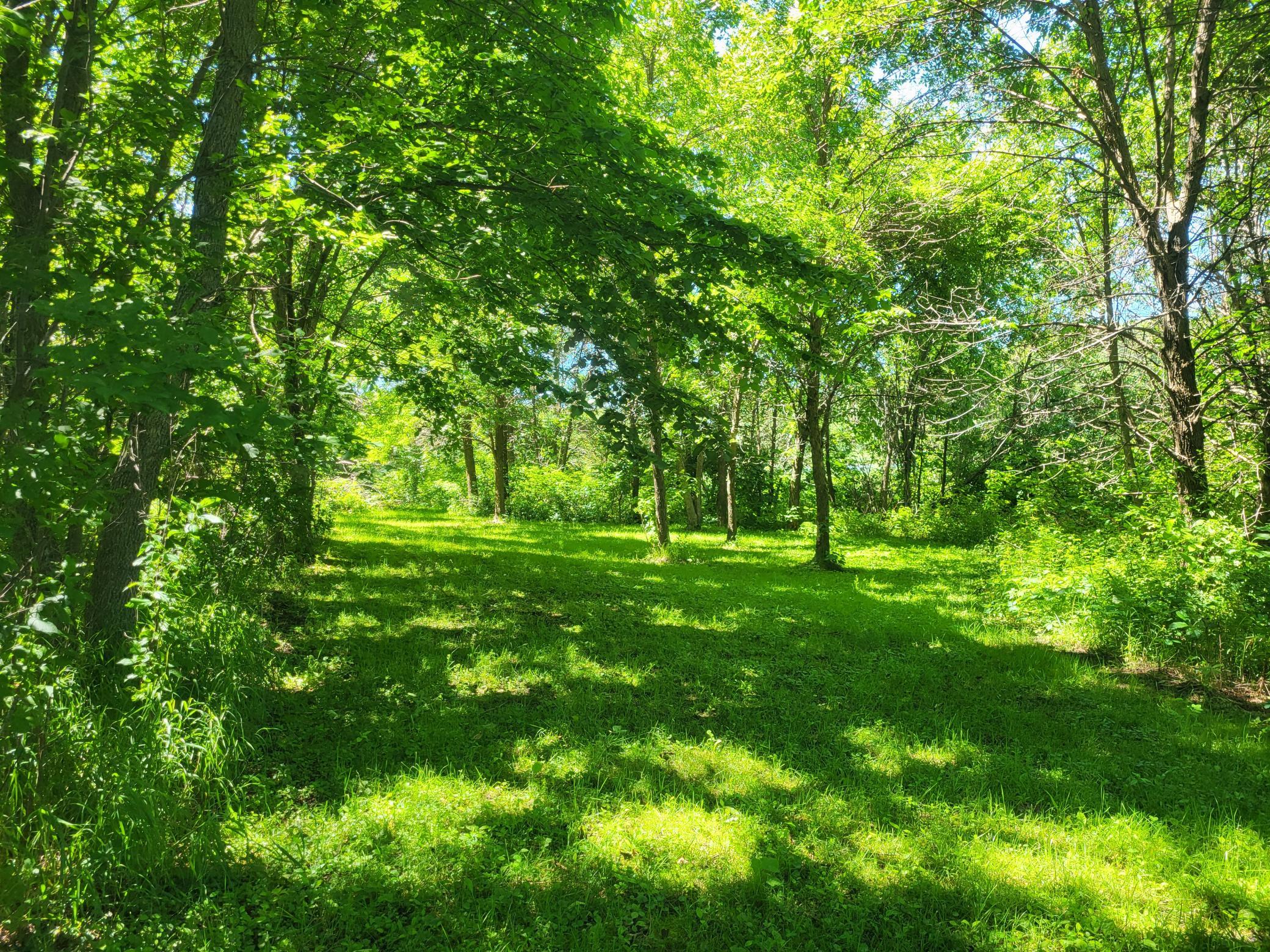 land for sale at Lot 5 Big Chip Trail NW in Garfield, MN (photo 11 of 19)