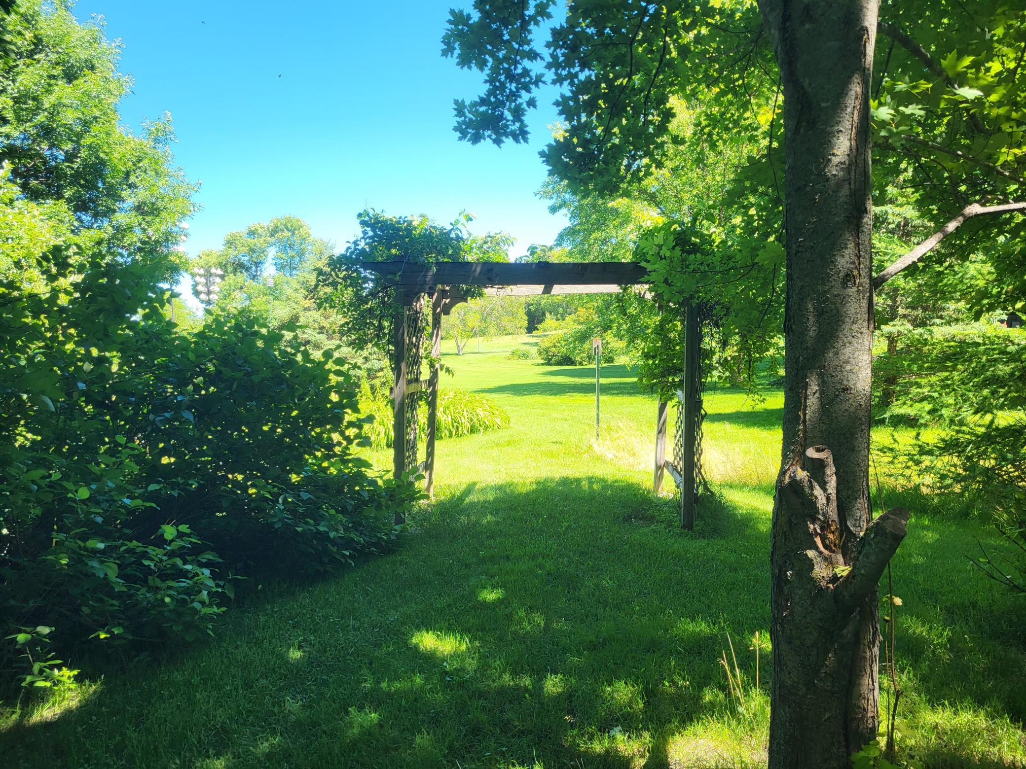 land for sale at Lot 5 Big Chip Trail NW in Garfield, MN (photo 12 of 19)