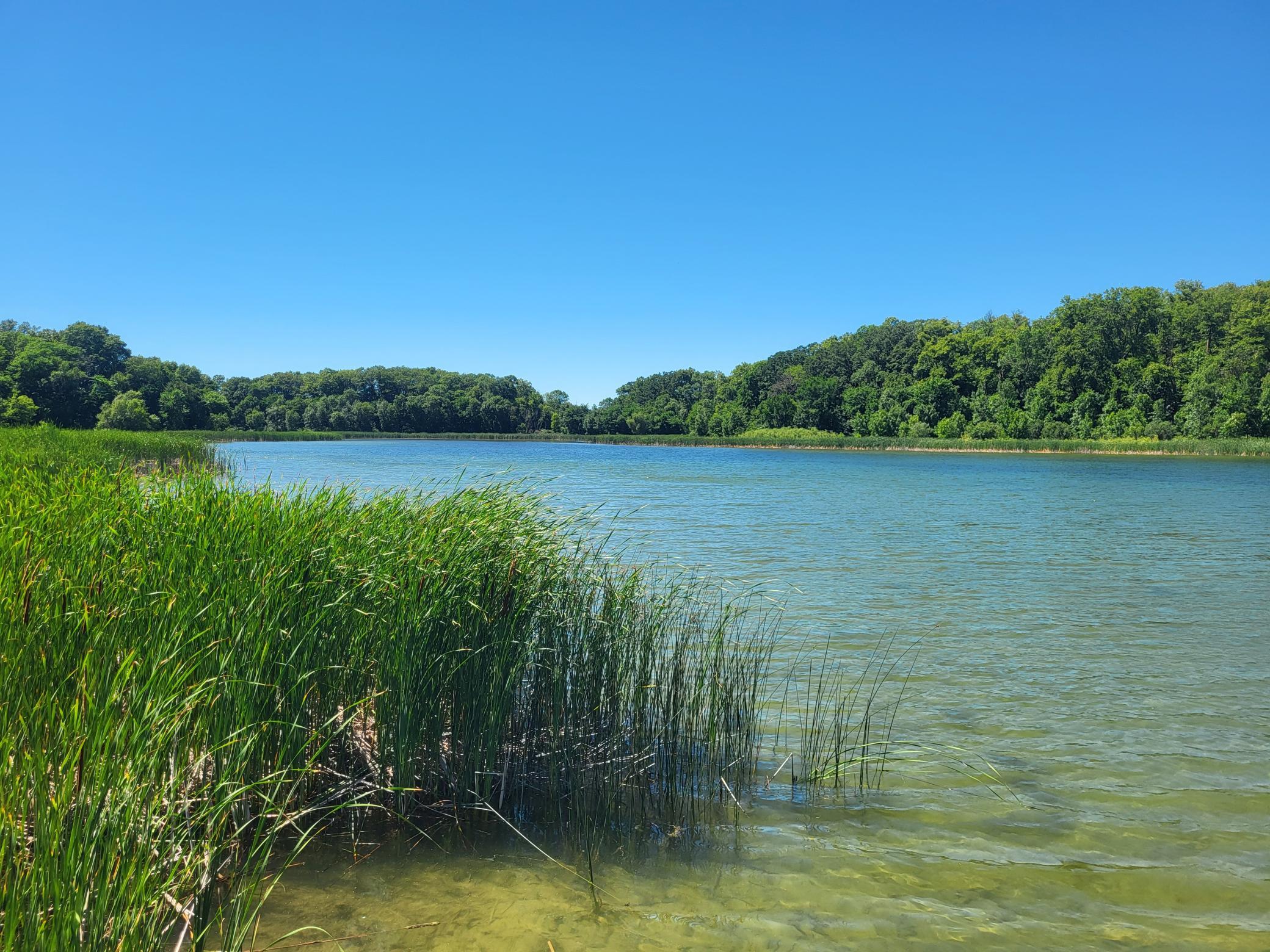 land for sale at Lot 5 Big Chip Trail NW in Garfield, MN (photo 15 of 19)