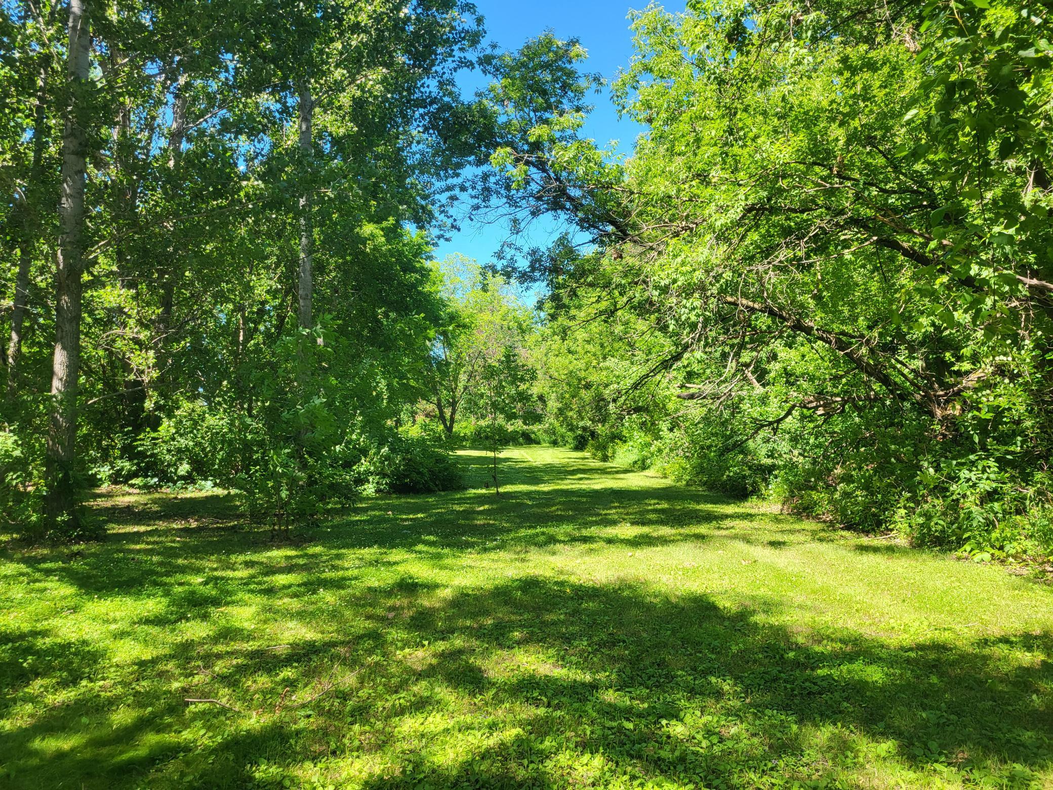 land for sale at Lot 5 Big Chip Trail NW in Garfield, MN (photo 18 of 19)