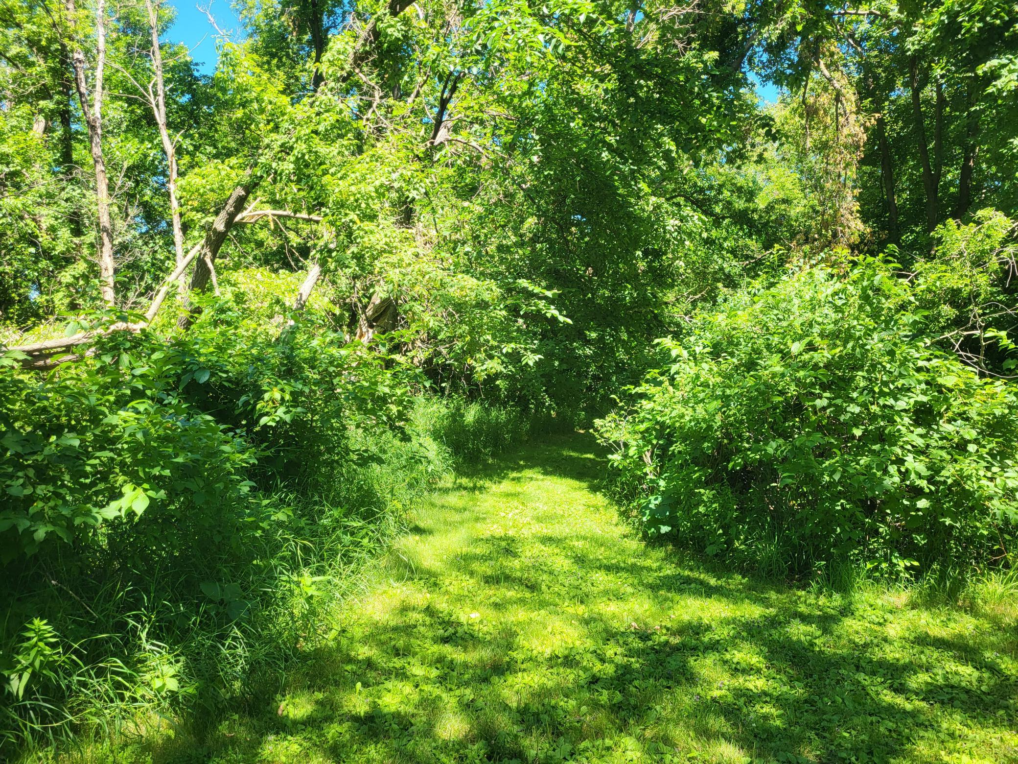 land for sale at Lot 5 Big Chip Trail NW in Garfield, MN (photo 3 of 19)