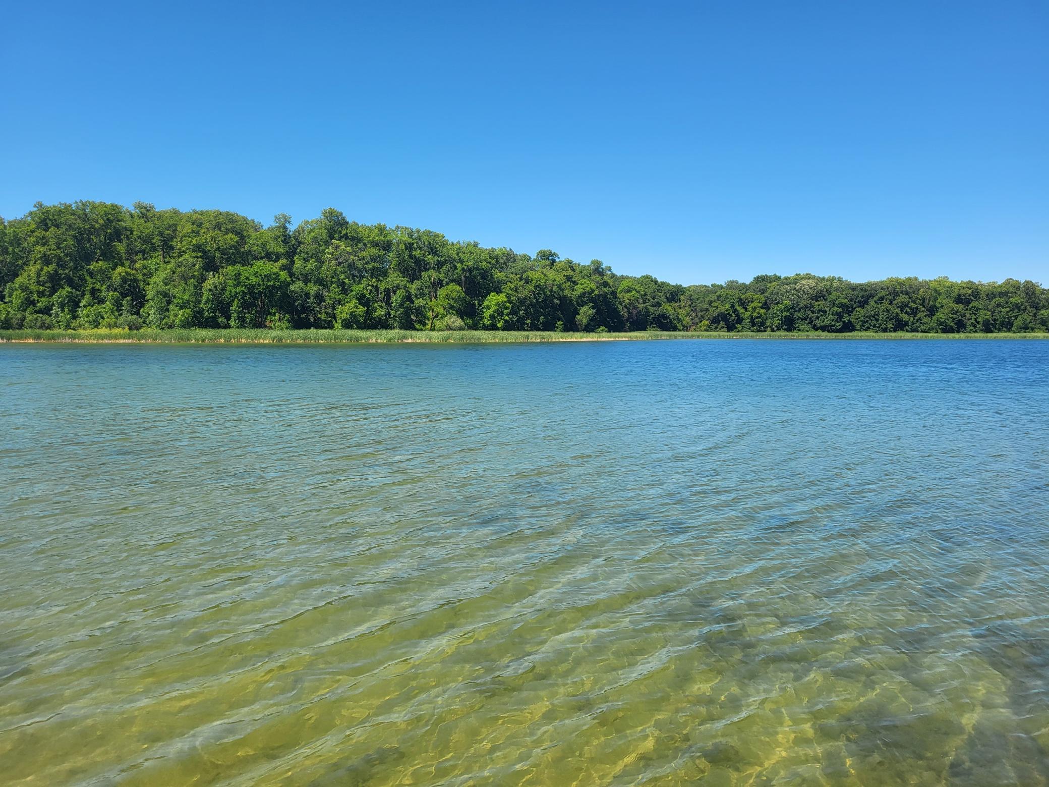 land for sale at Lot 5 Big Chip Trail NW in Garfield, MN (photo 4 of 19)