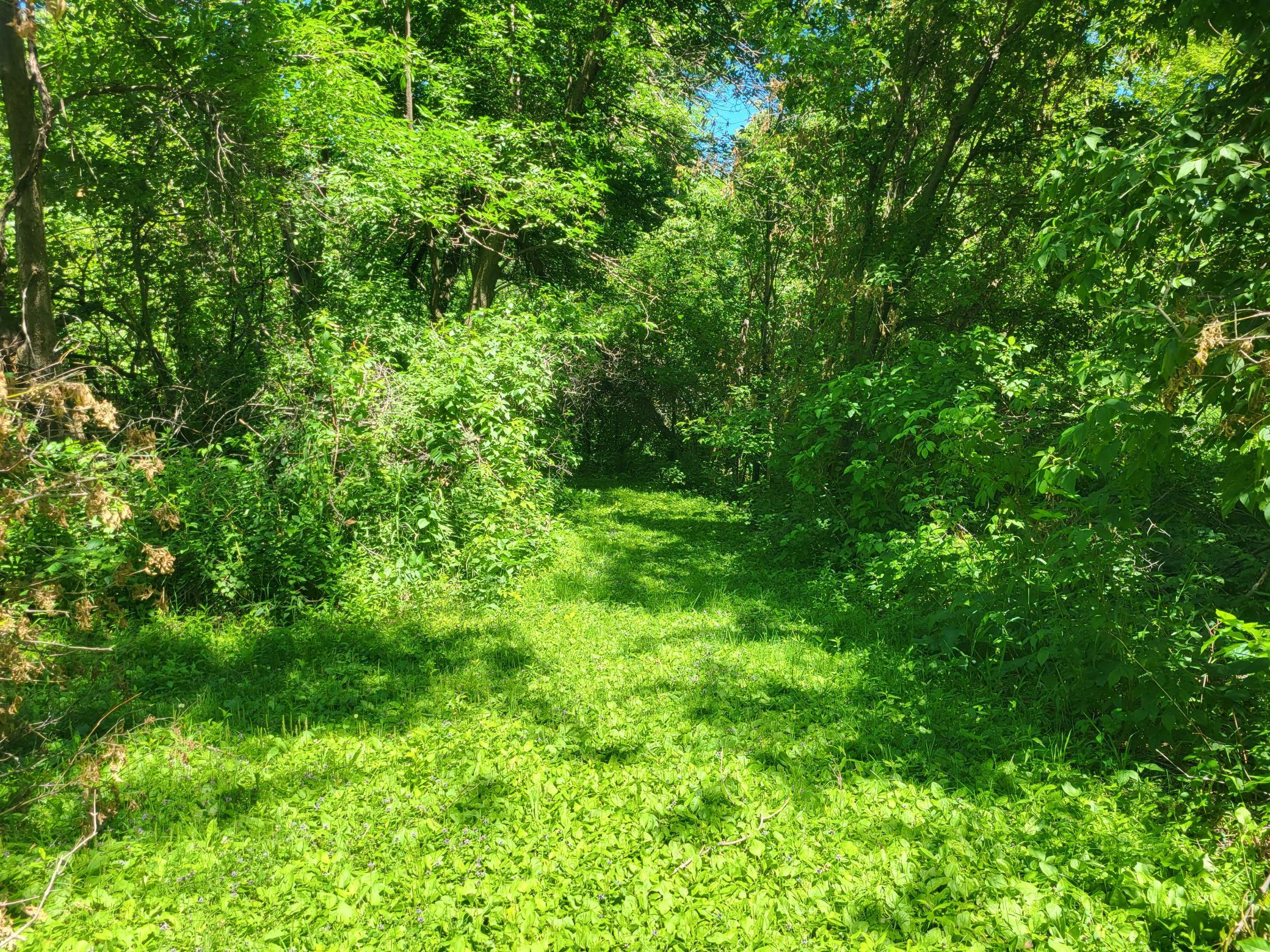 land for sale at Lot 5 Big Chip Trail NW in Garfield, MN (photo 5 of 19)