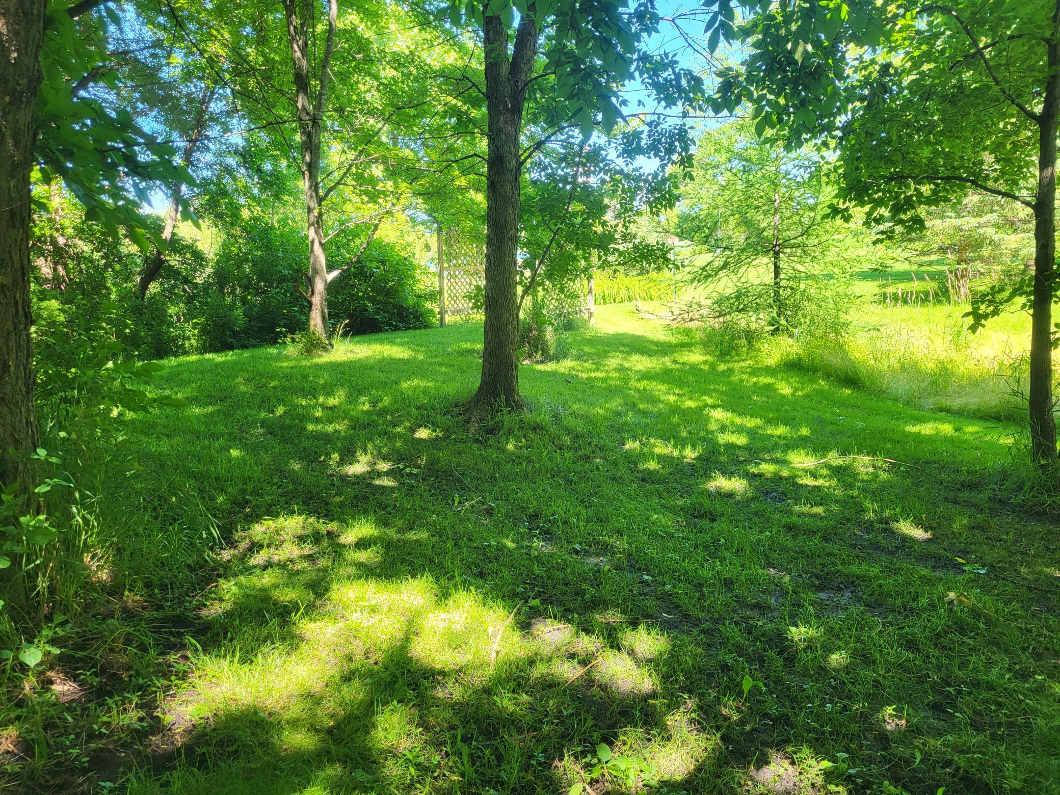 land for sale at Lot 5 Big Chip Trail NW in Garfield, MN (photo 10 of 19)