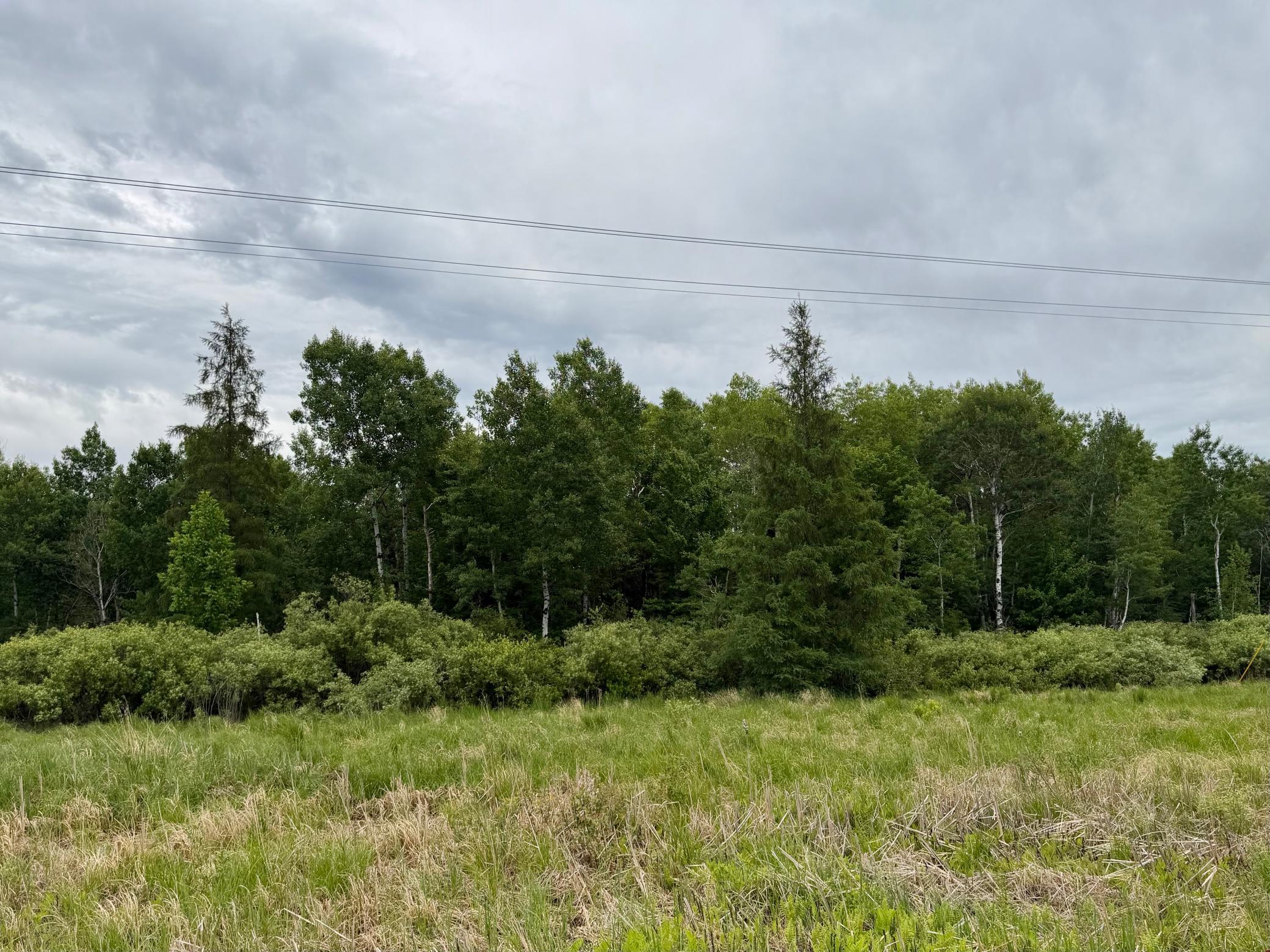 TBD Highway 65, Nashwauk MN 55769 - Photo 2 of 3