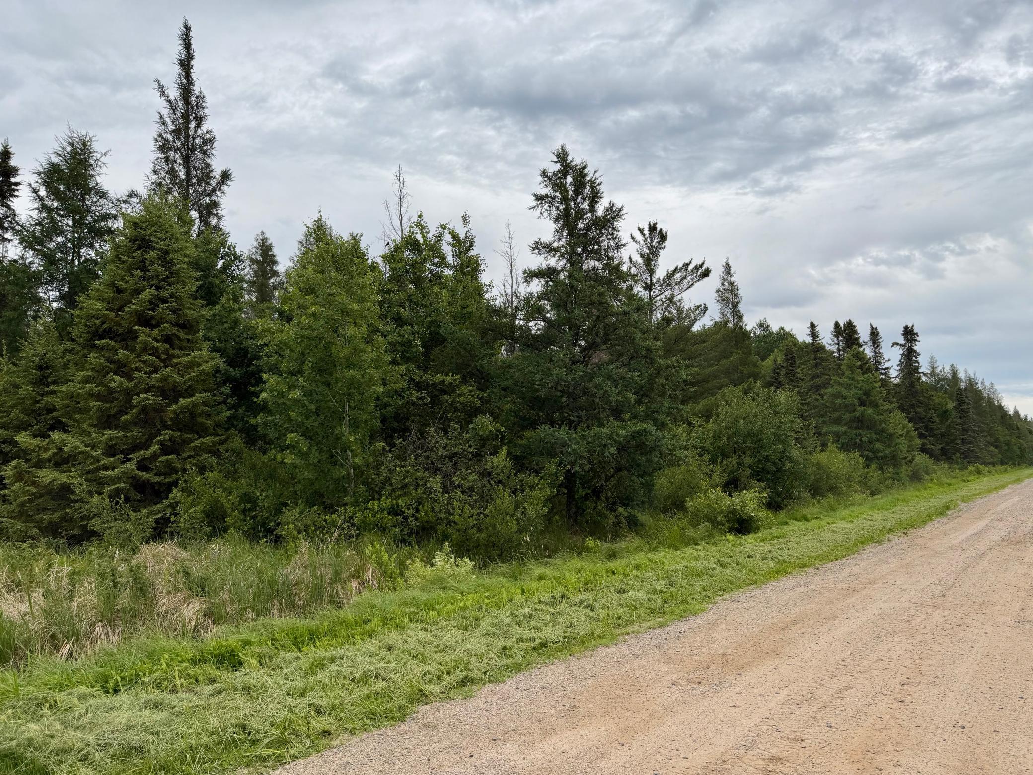 TBD Highway 65, Nashwauk MN 55769 - Photo 3 of 3