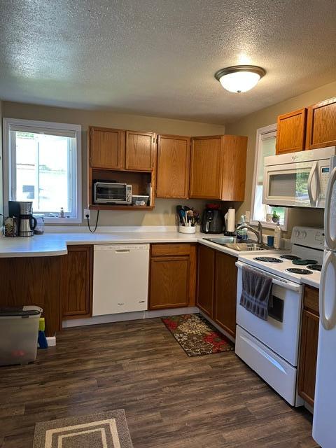 1930 single family home for sale at 501 Jefferson Avenue in Argyle, MN — 1 bed, 1 bath (photo 10 of 27)