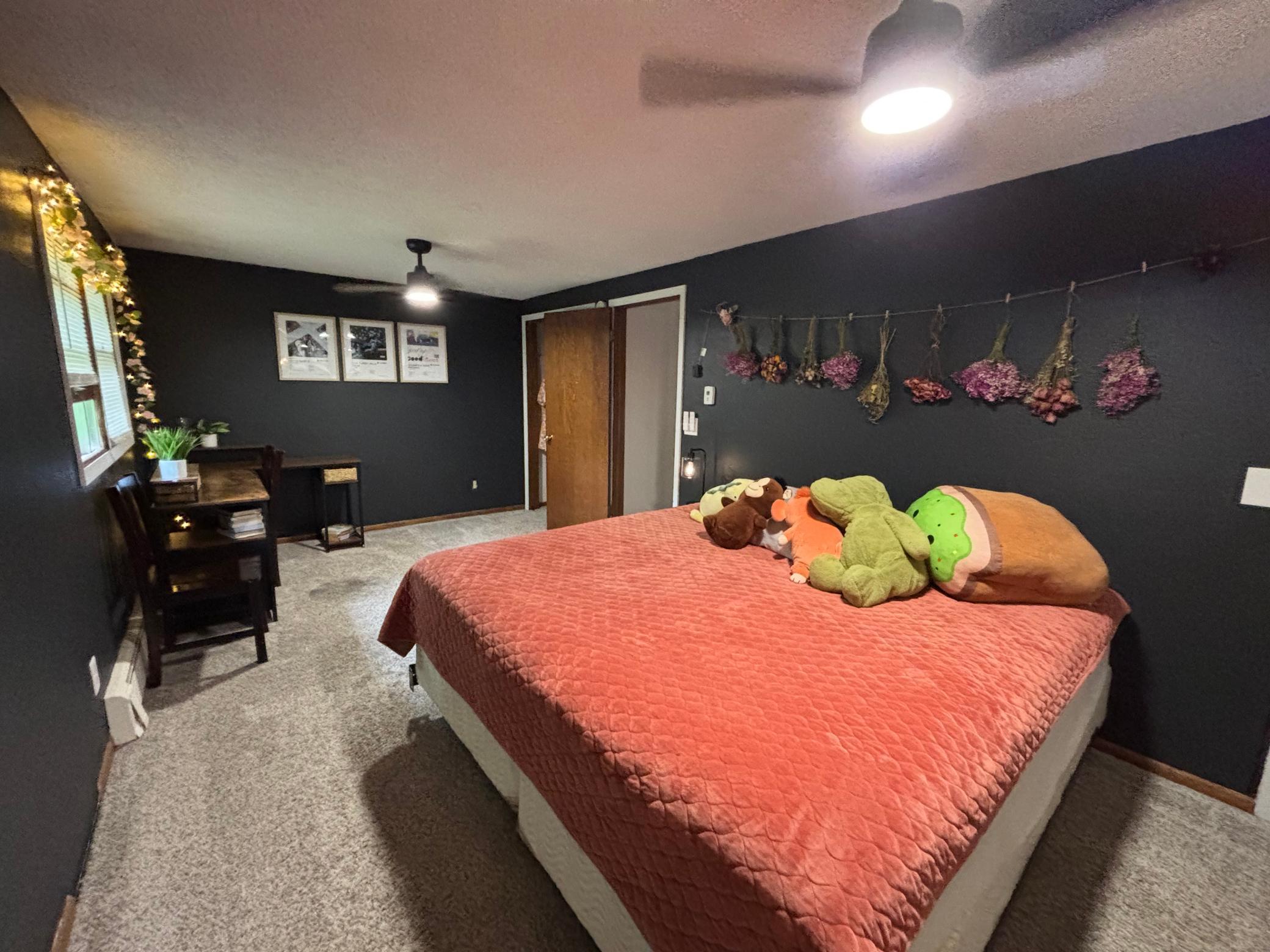817 Alice Drive, Thief River Falls MN 56701 - Photo 25 of 37