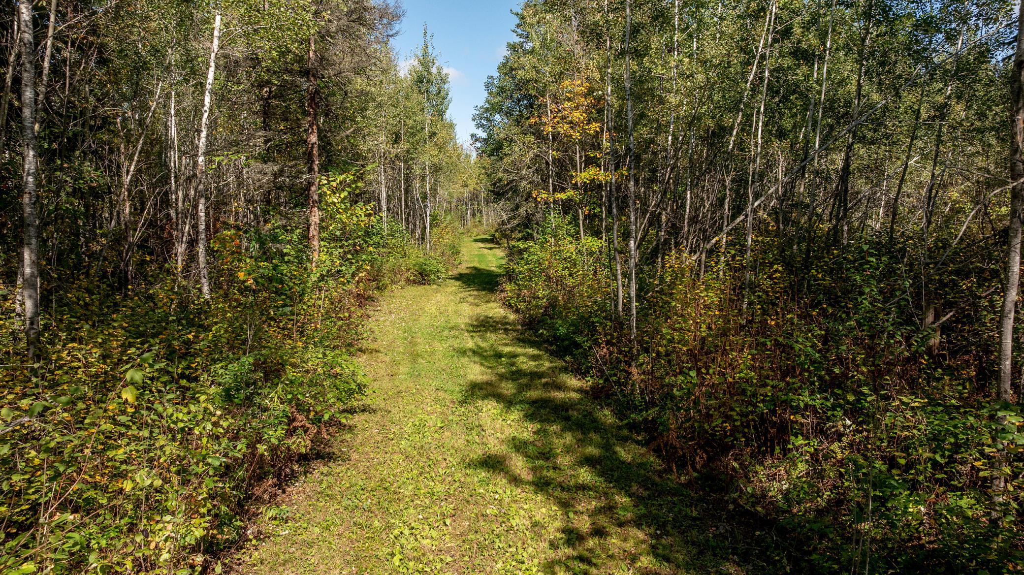2007 single family home for sale at 184 Acres 44047A Little Pine Road in Emily, MN — 3 bed, 3 bath (photo 48 of 54)