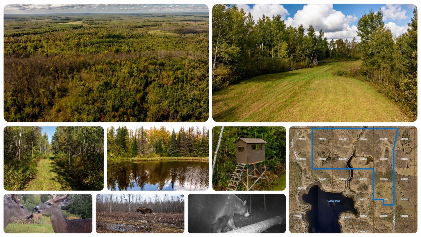 2007 land for sale at 384 Acres TBD Little Pine Road in Emily, MN