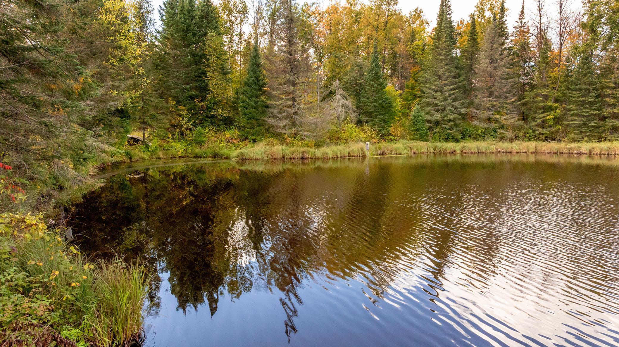 2007 land for sale at 384 Acres TBD Little Pine Road in Emily, MN (photo 13 of 45)